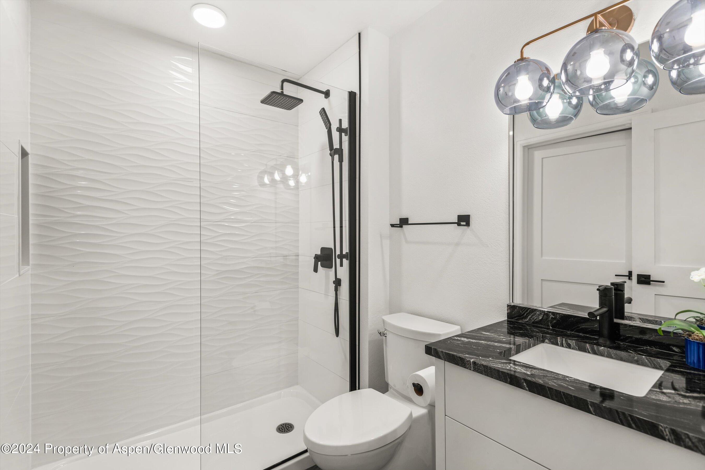 4202 Elk Lane Basalt CO 81621