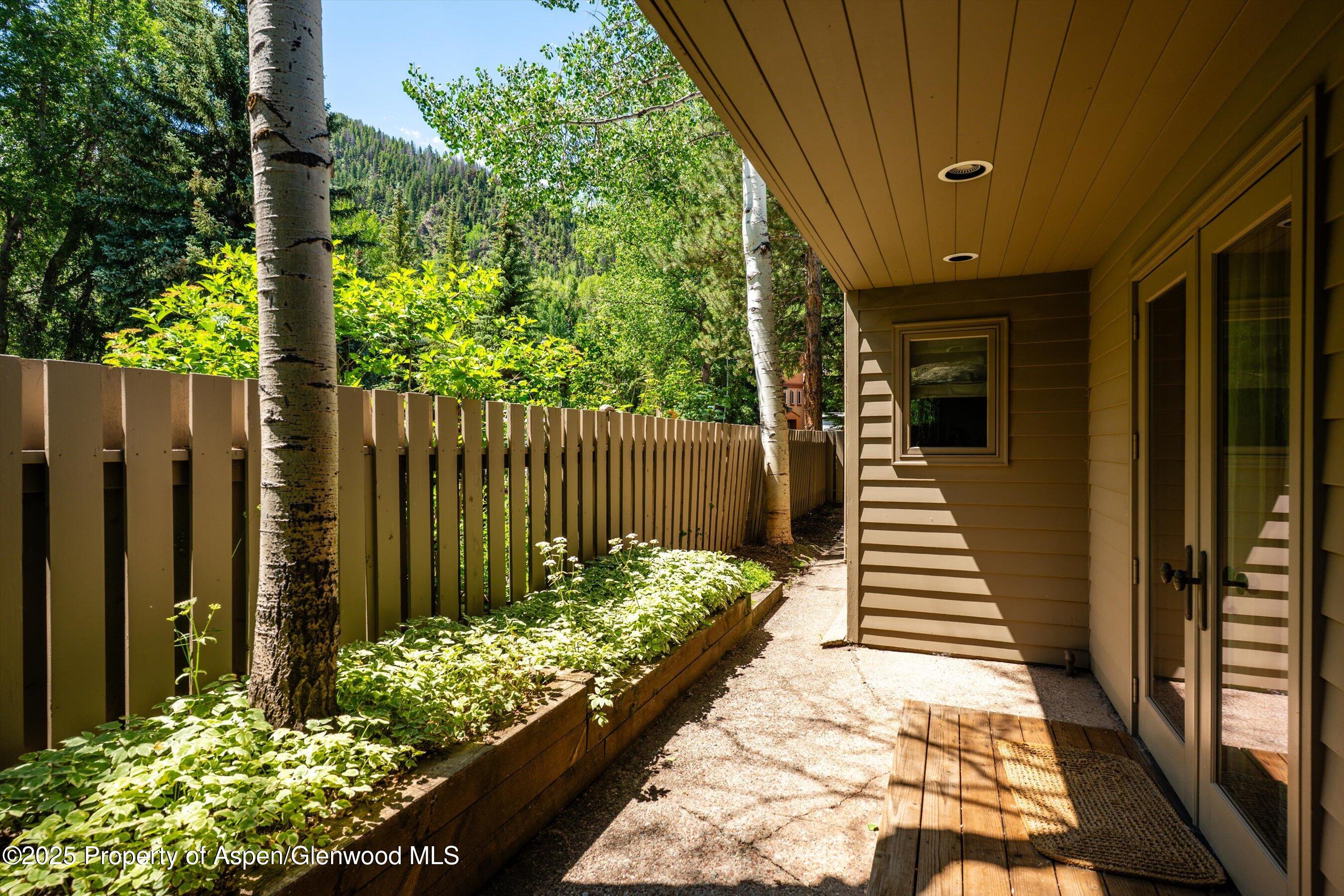 627 S Original Street Aspen CO 81611