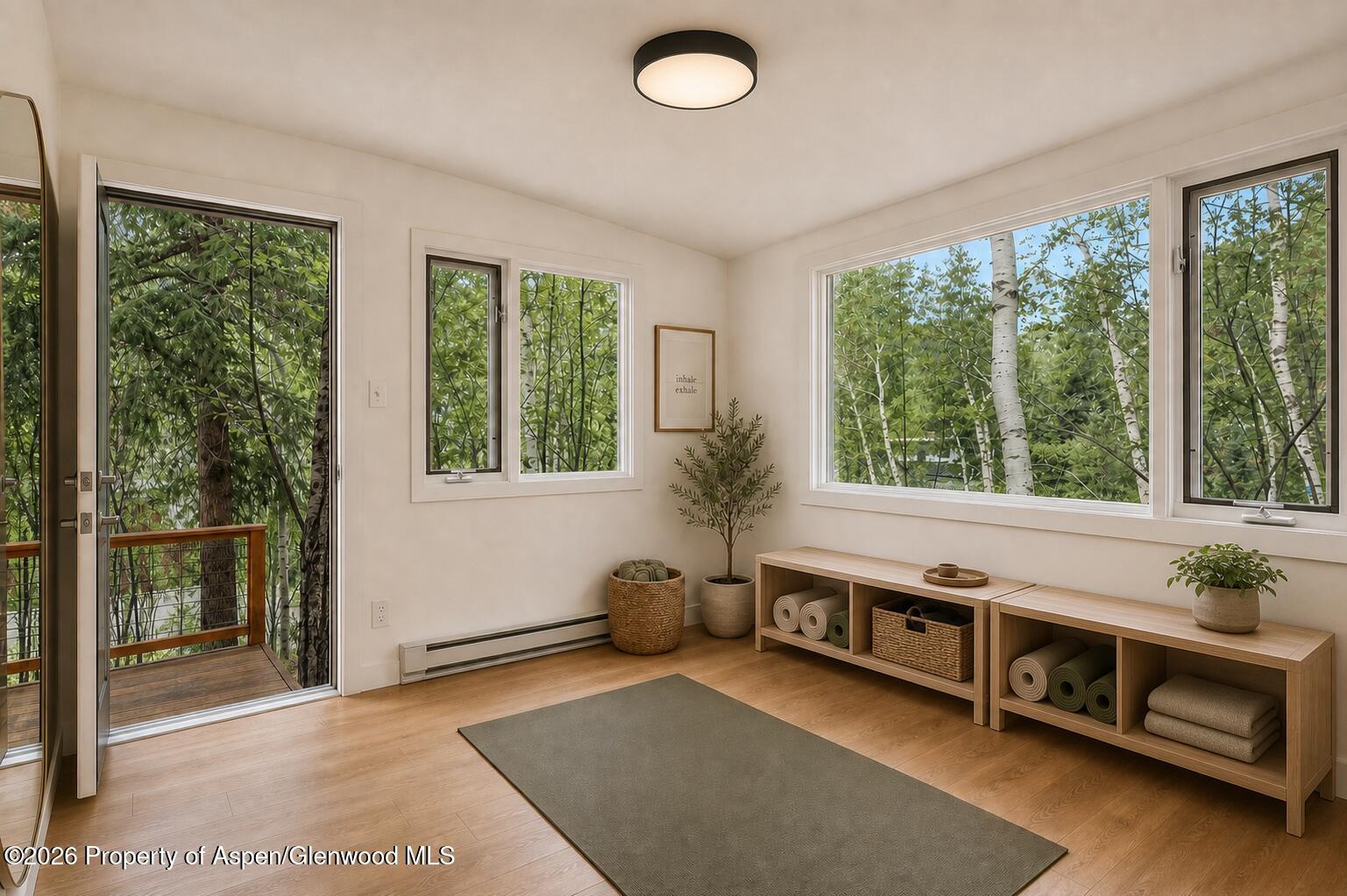 203 Eastwood Road Aspen CO 81611