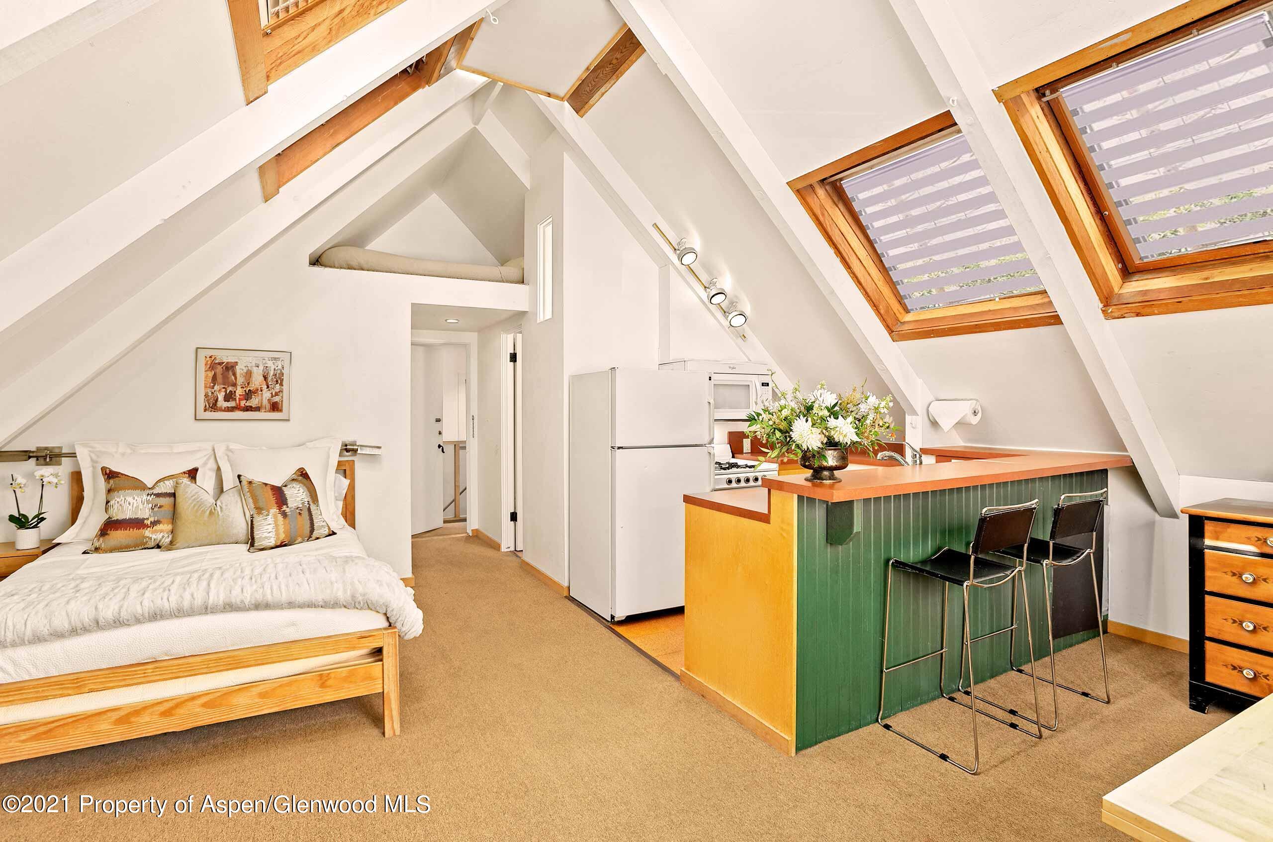 214 E Hopkins Avenue Aspen CO 81611