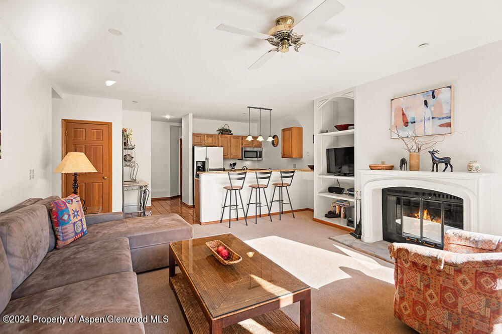 476 Wood Road Snowmass Village CO 81615