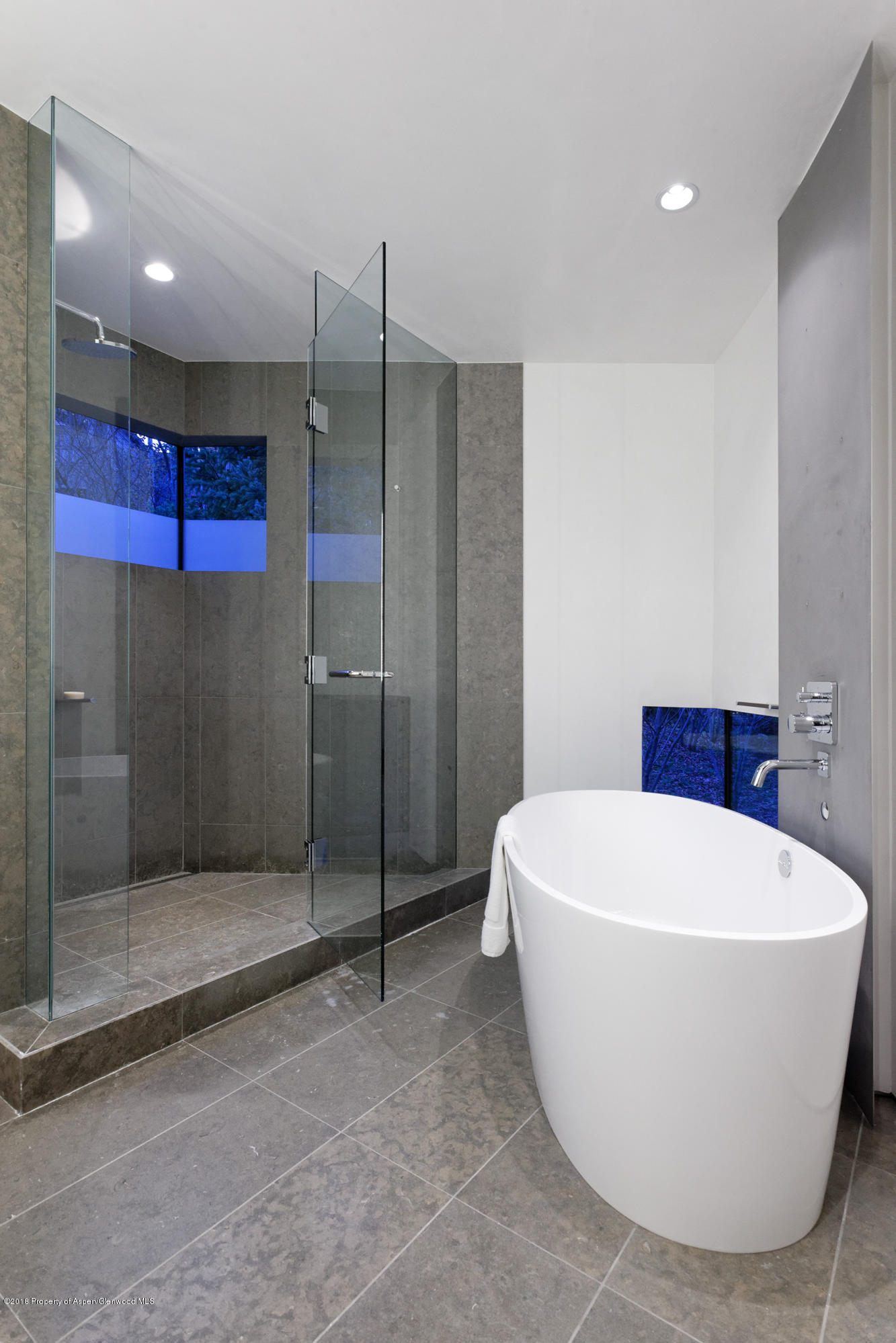 1118 Waters Avenue Aspen CO 81611