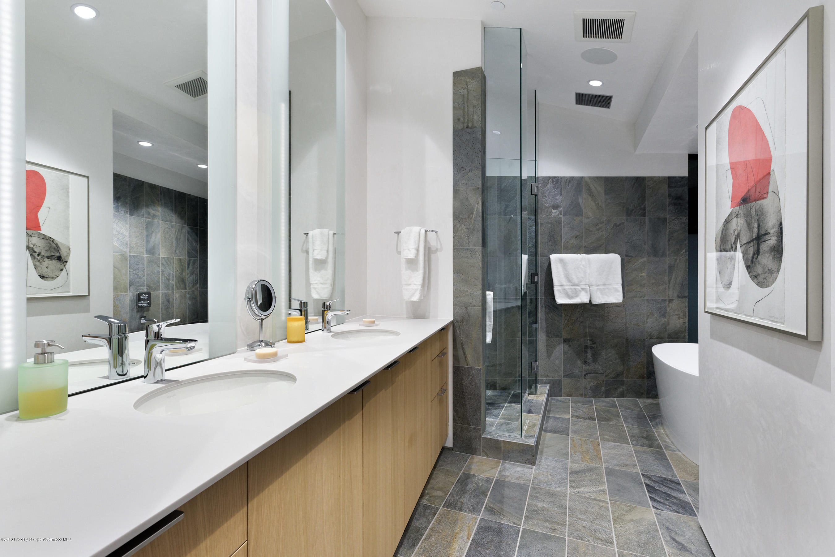 1118 Waters Avenue Aspen CO 81611