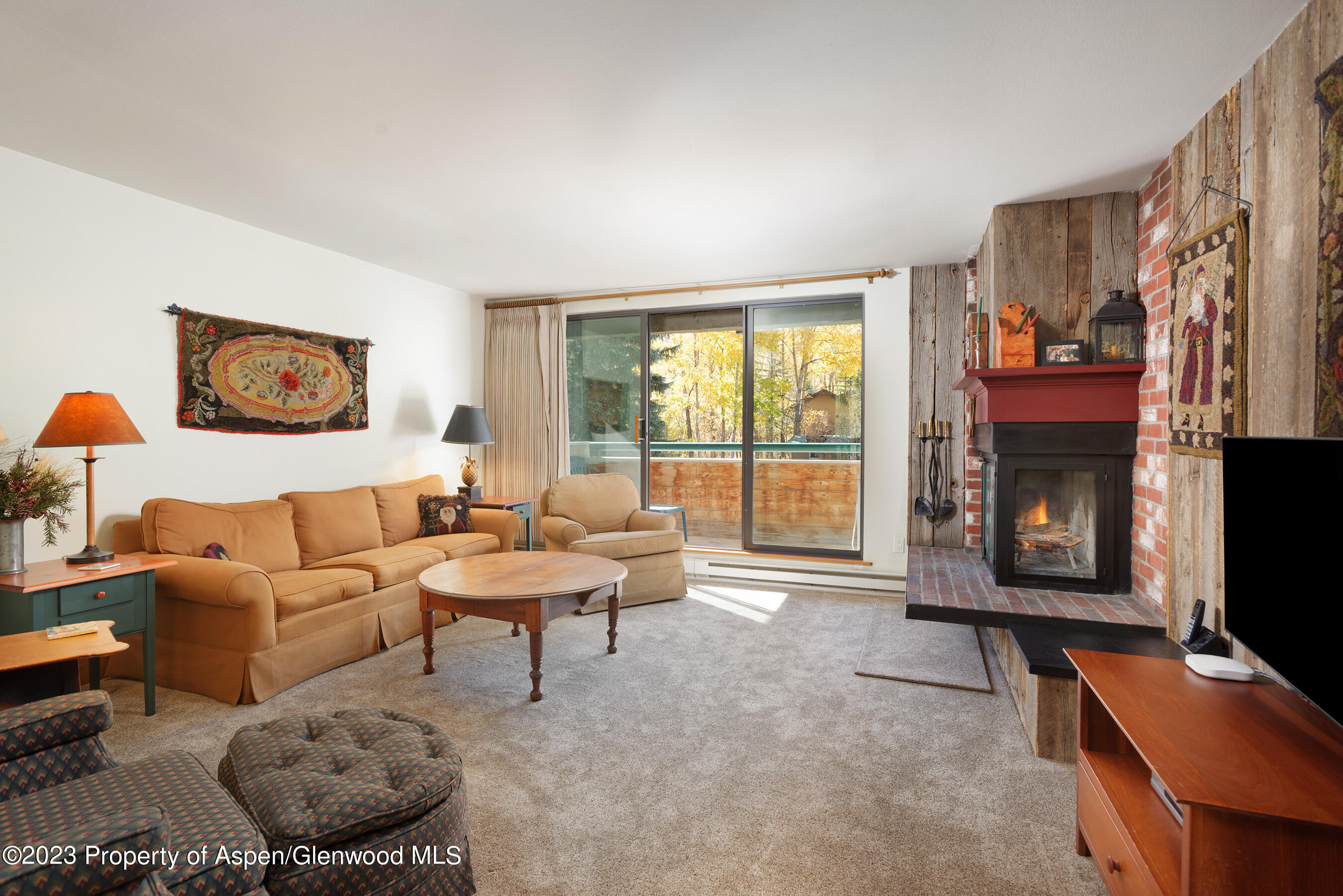 1024 E Hopkins Avenue Aspen CO 81611