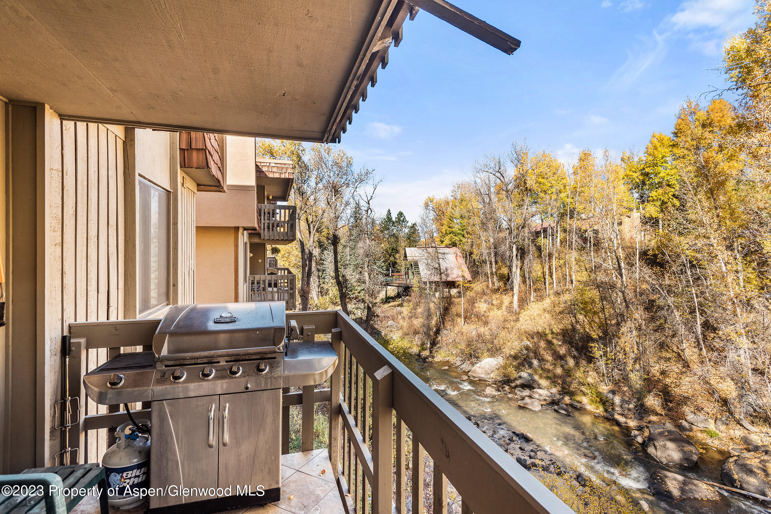 1024 E Hopkins Avenue Aspen CO 81611