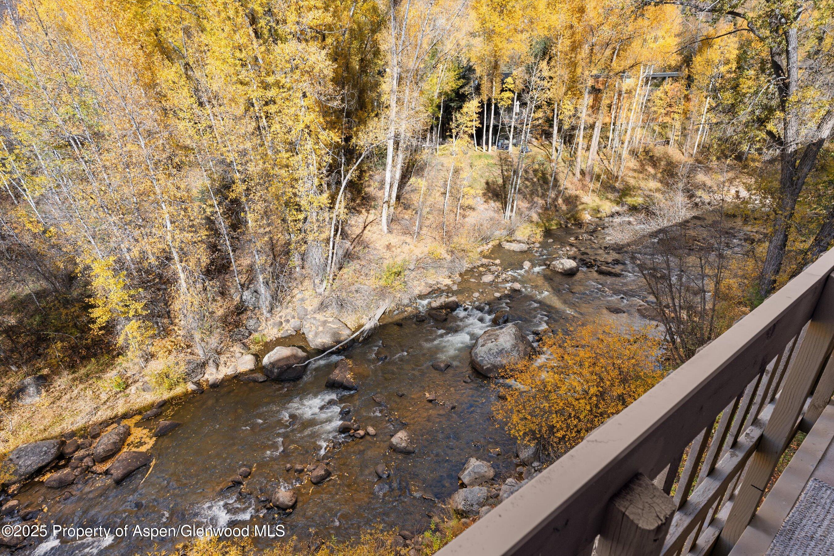 1024 E Hopkins Avenue Aspen CO 81611