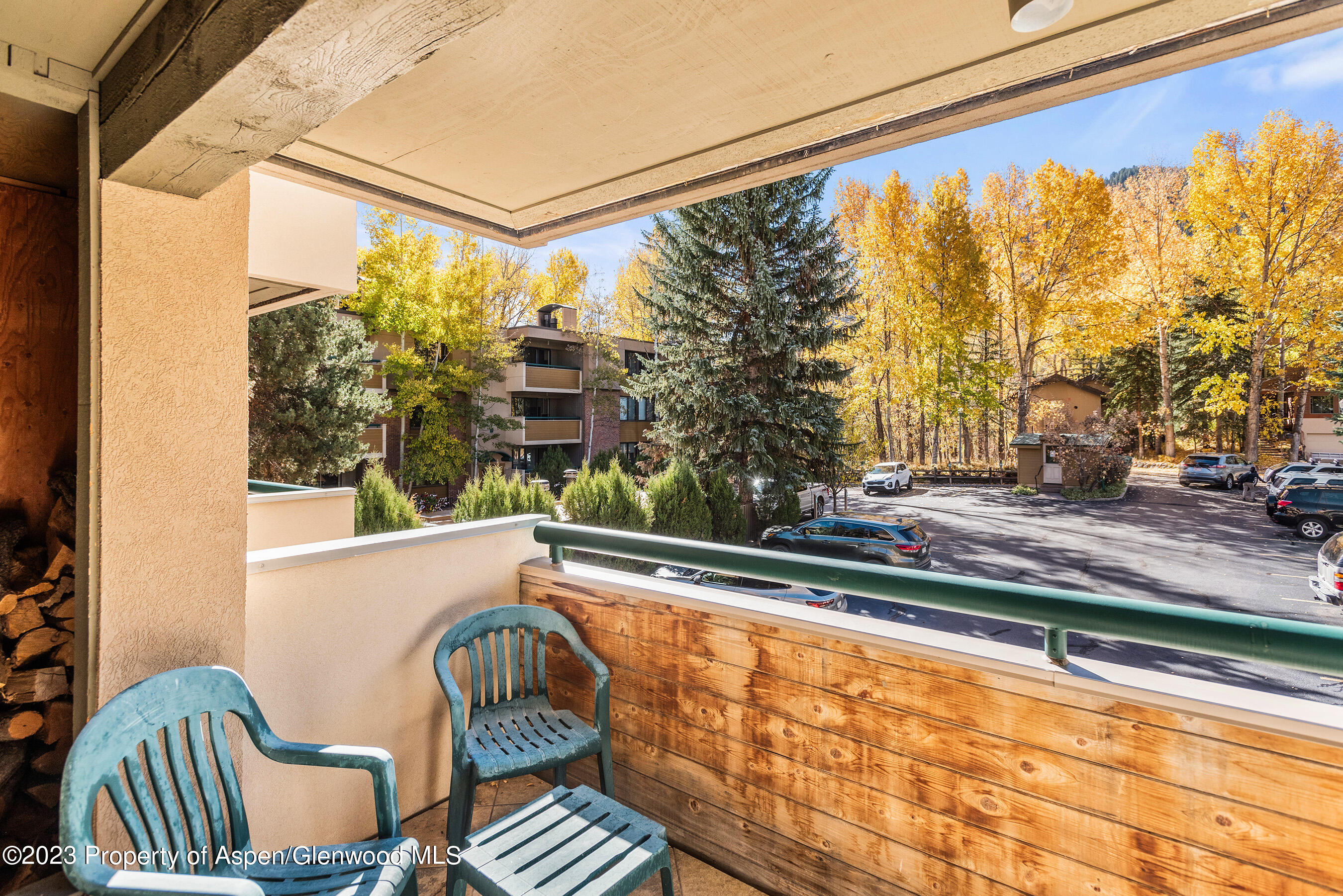 1024 E Hopkins Avenue Aspen CO 81611