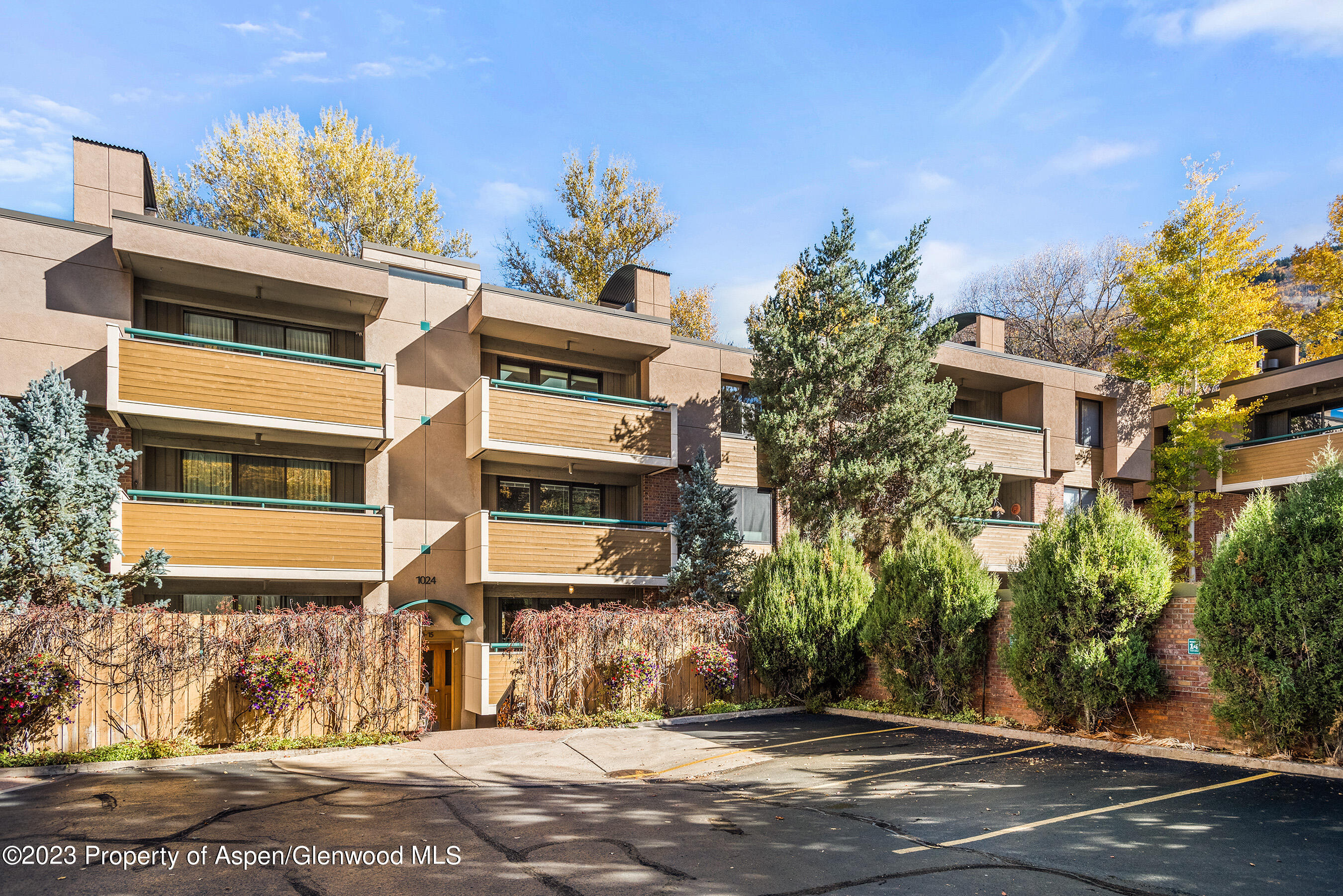 1024 E Hopkins Avenue Aspen CO 81611
