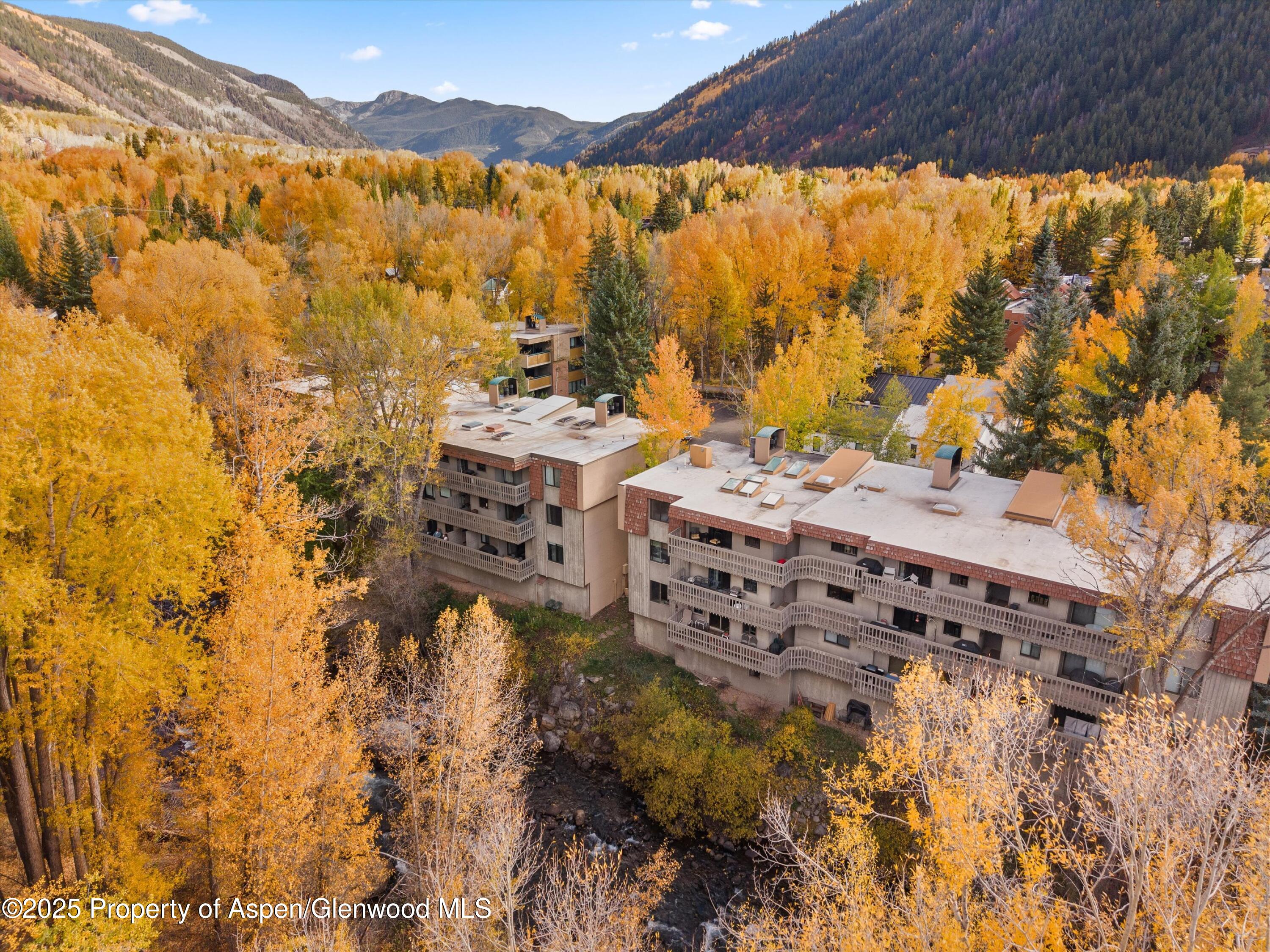 1024 E Hopkins Avenue Aspen CO 81611