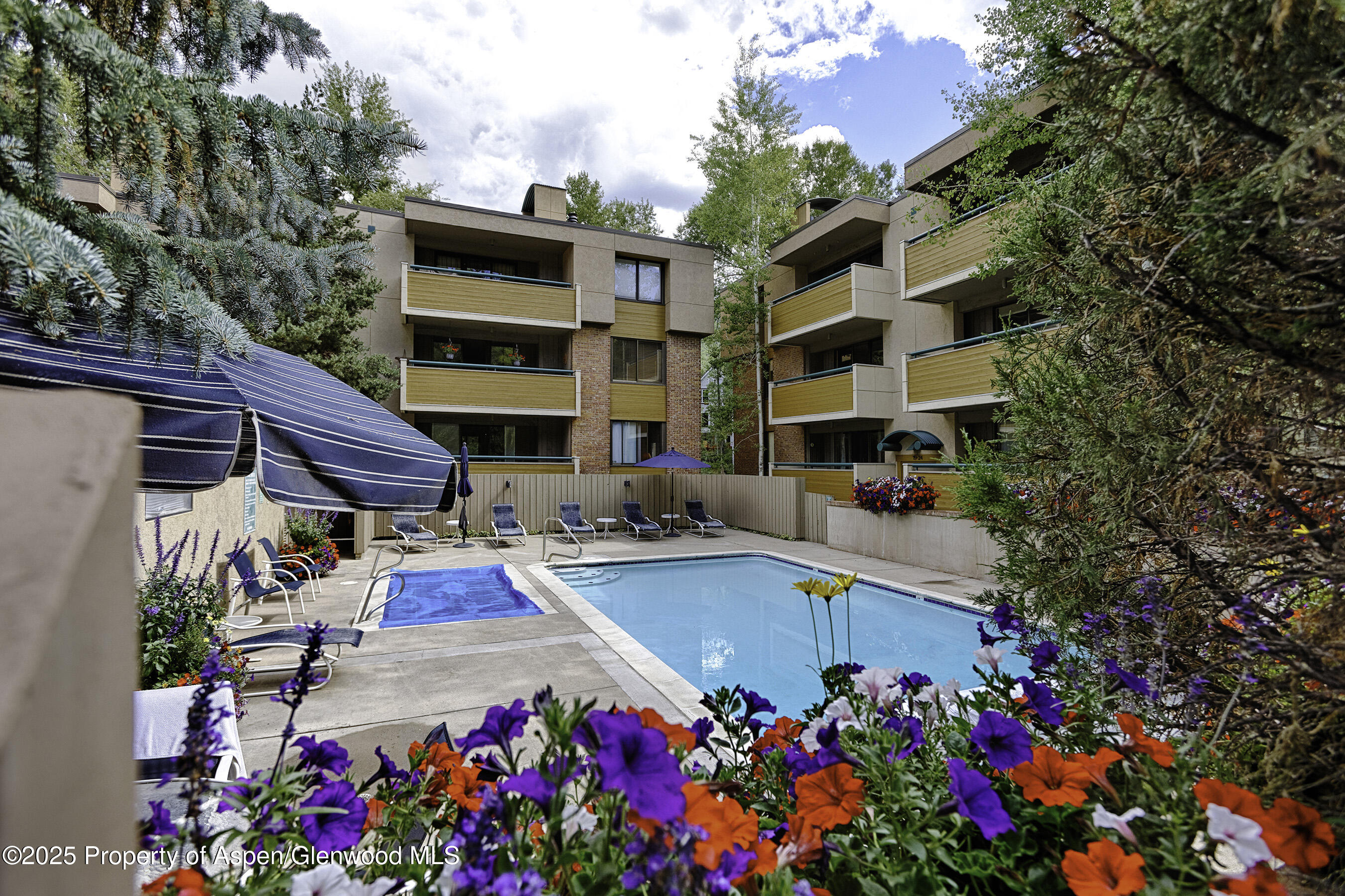 1024 E Hopkins Avenue Aspen CO 81611