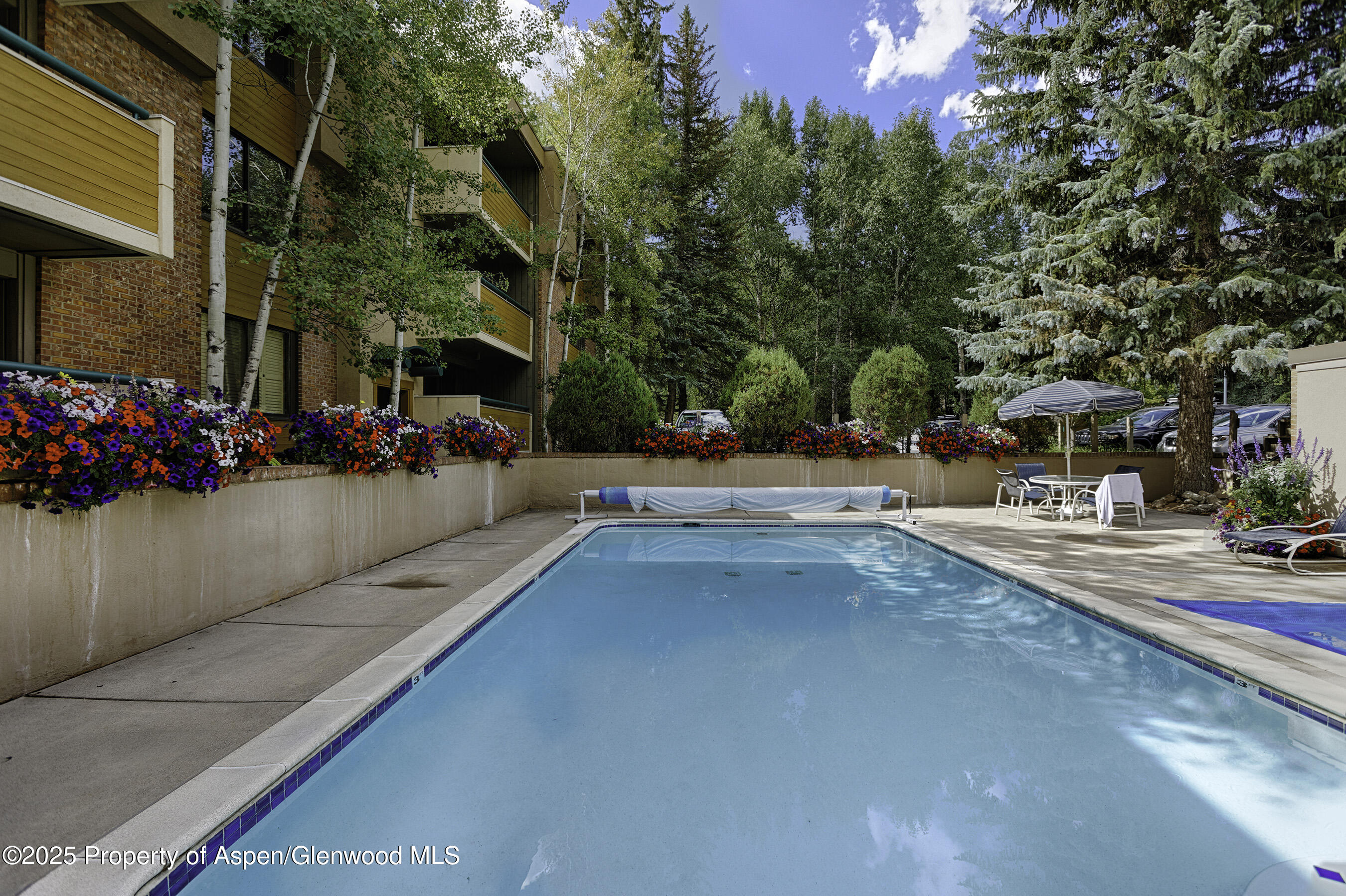 1024 E Hopkins Avenue Aspen CO 81611