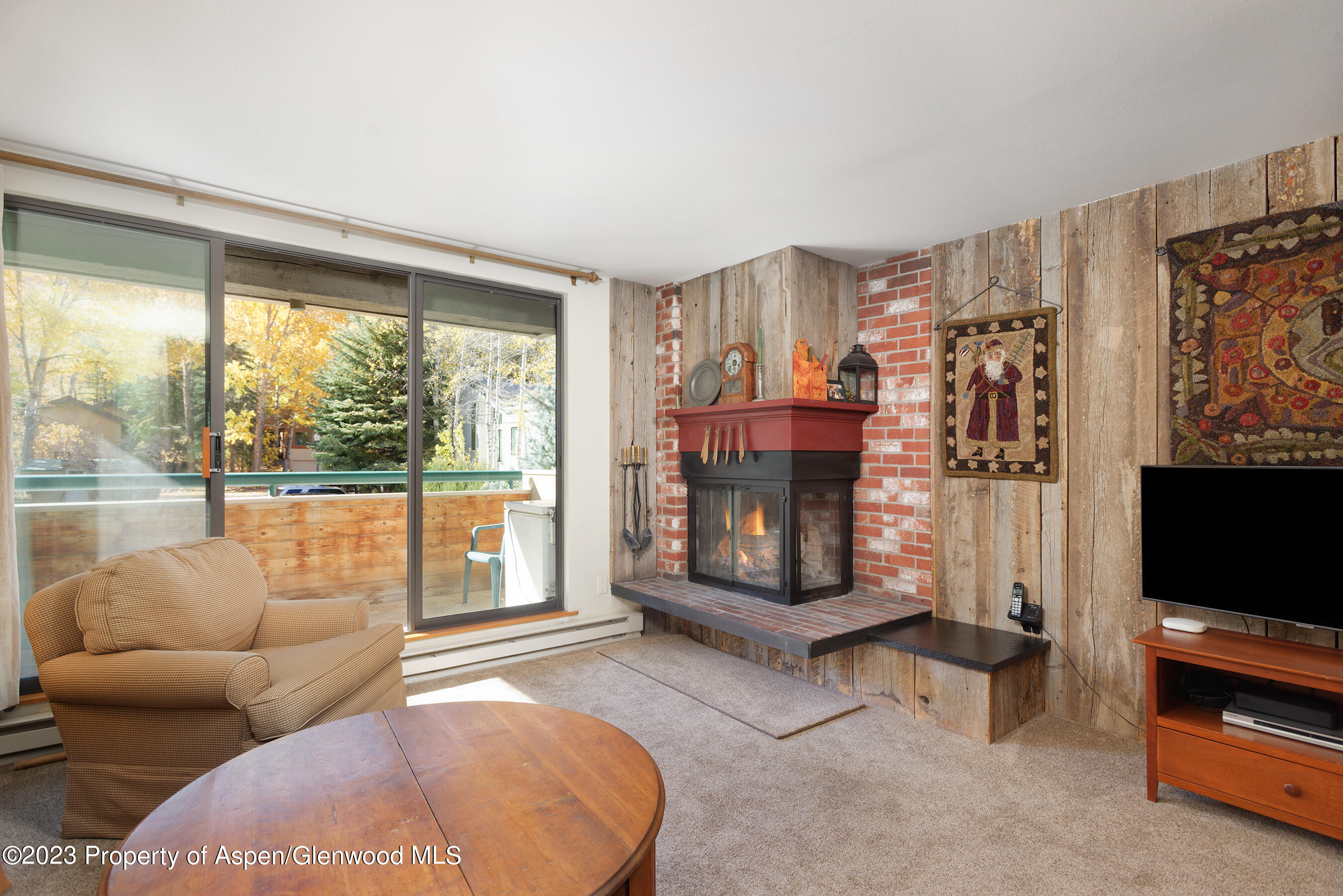 1024 E Hopkins Avenue Aspen CO 81611