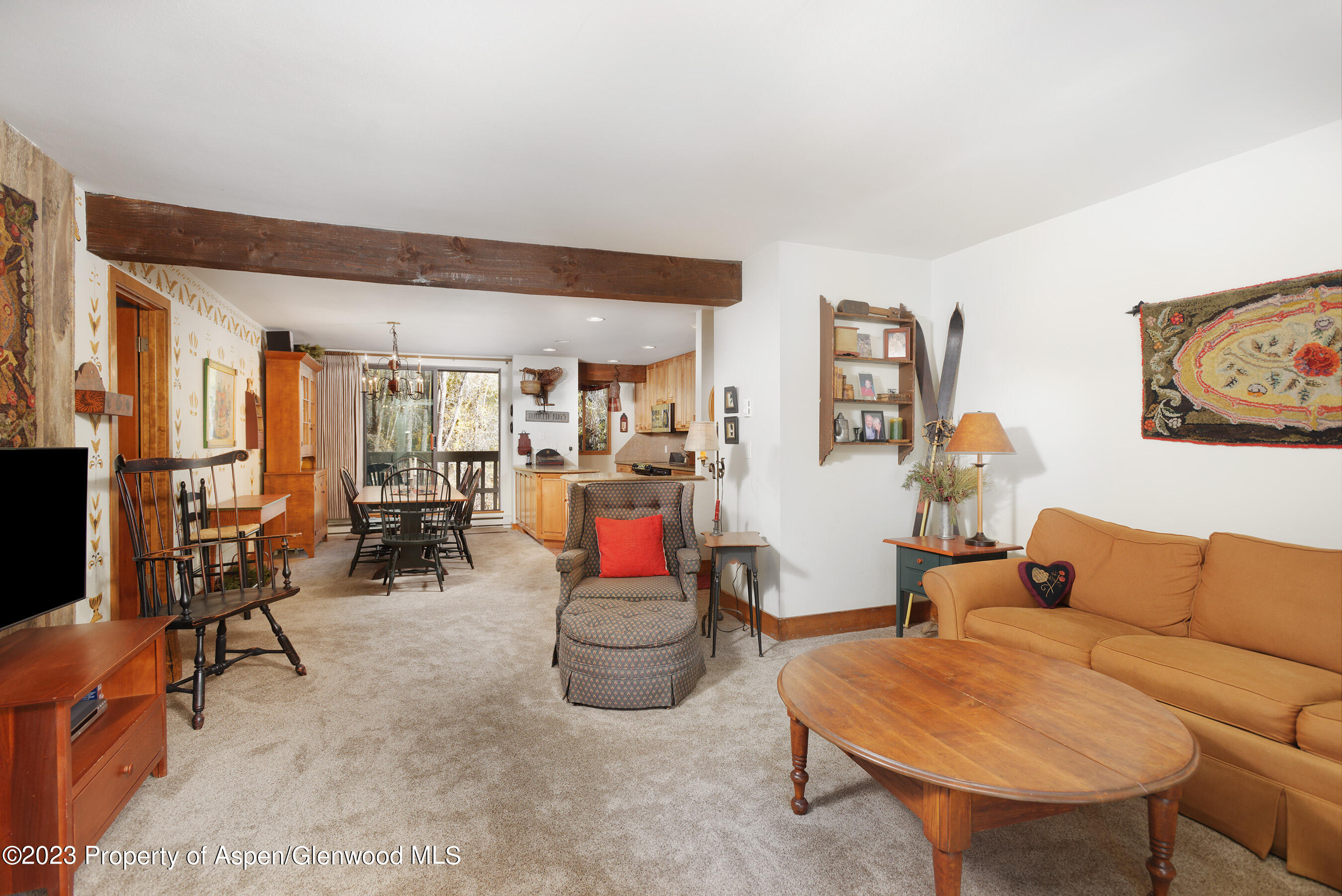 1024 E Hopkins Avenue Aspen CO 81611