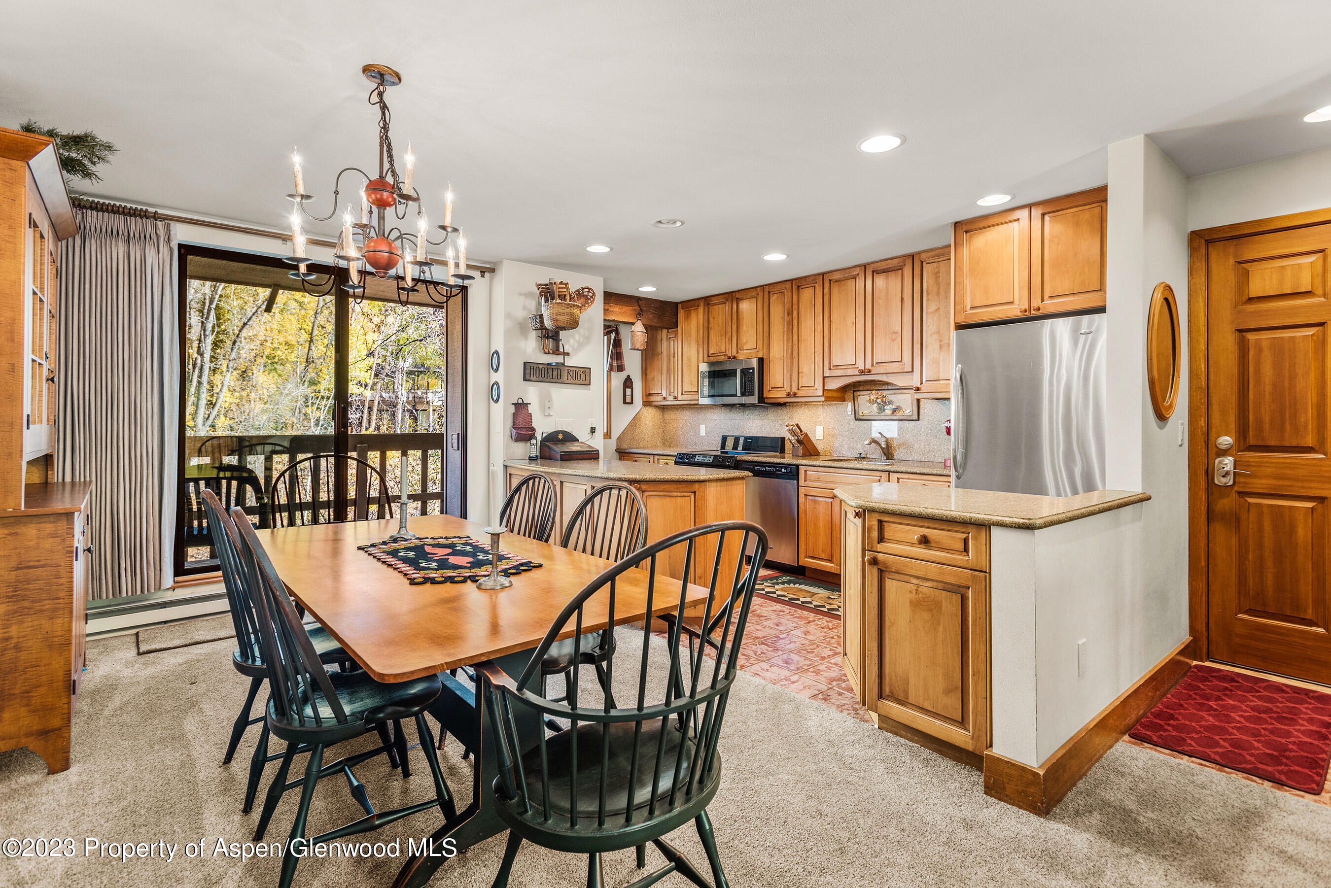 1024 E Hopkins Avenue Aspen CO 81611