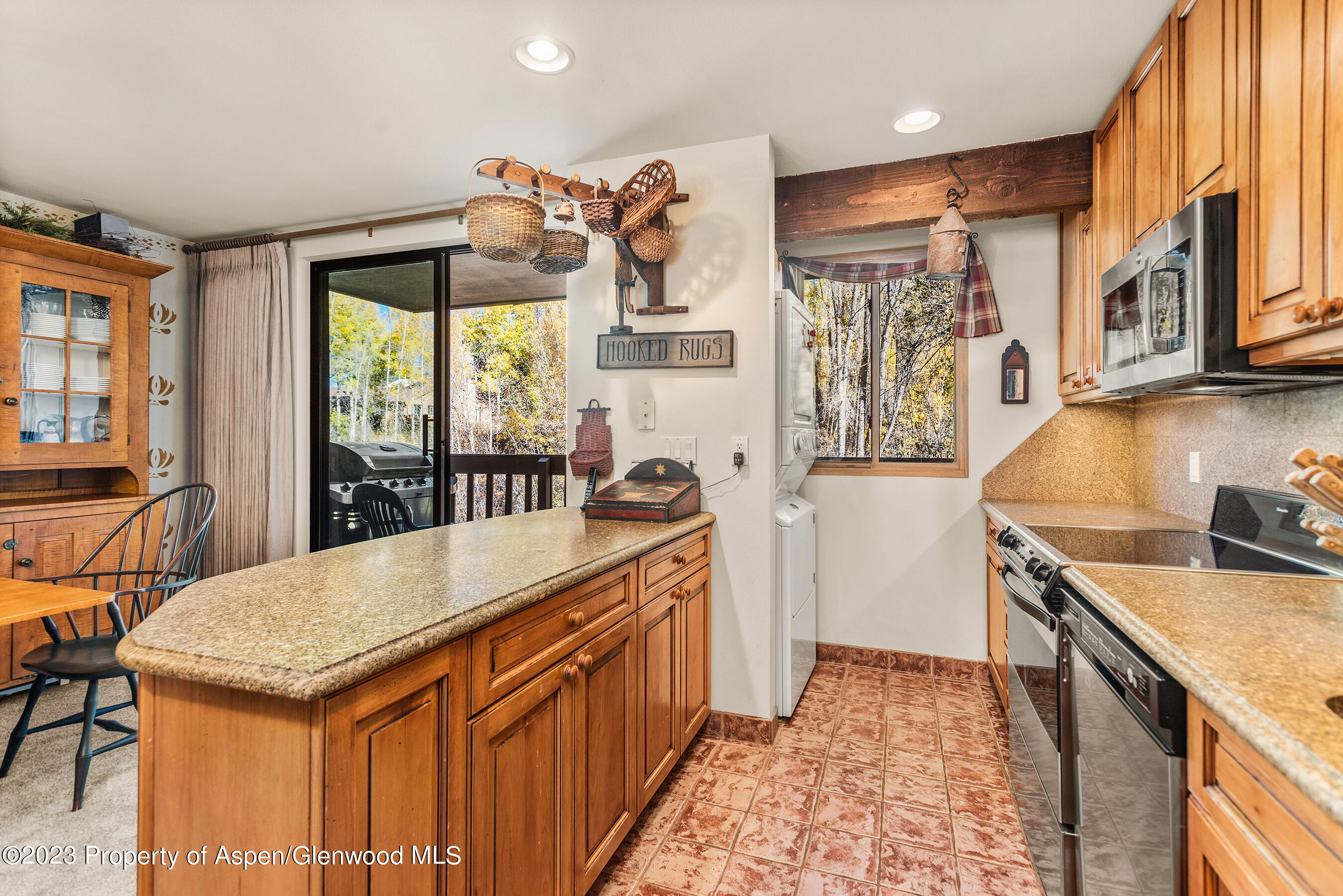 1024 E Hopkins Avenue Aspen CO 81611