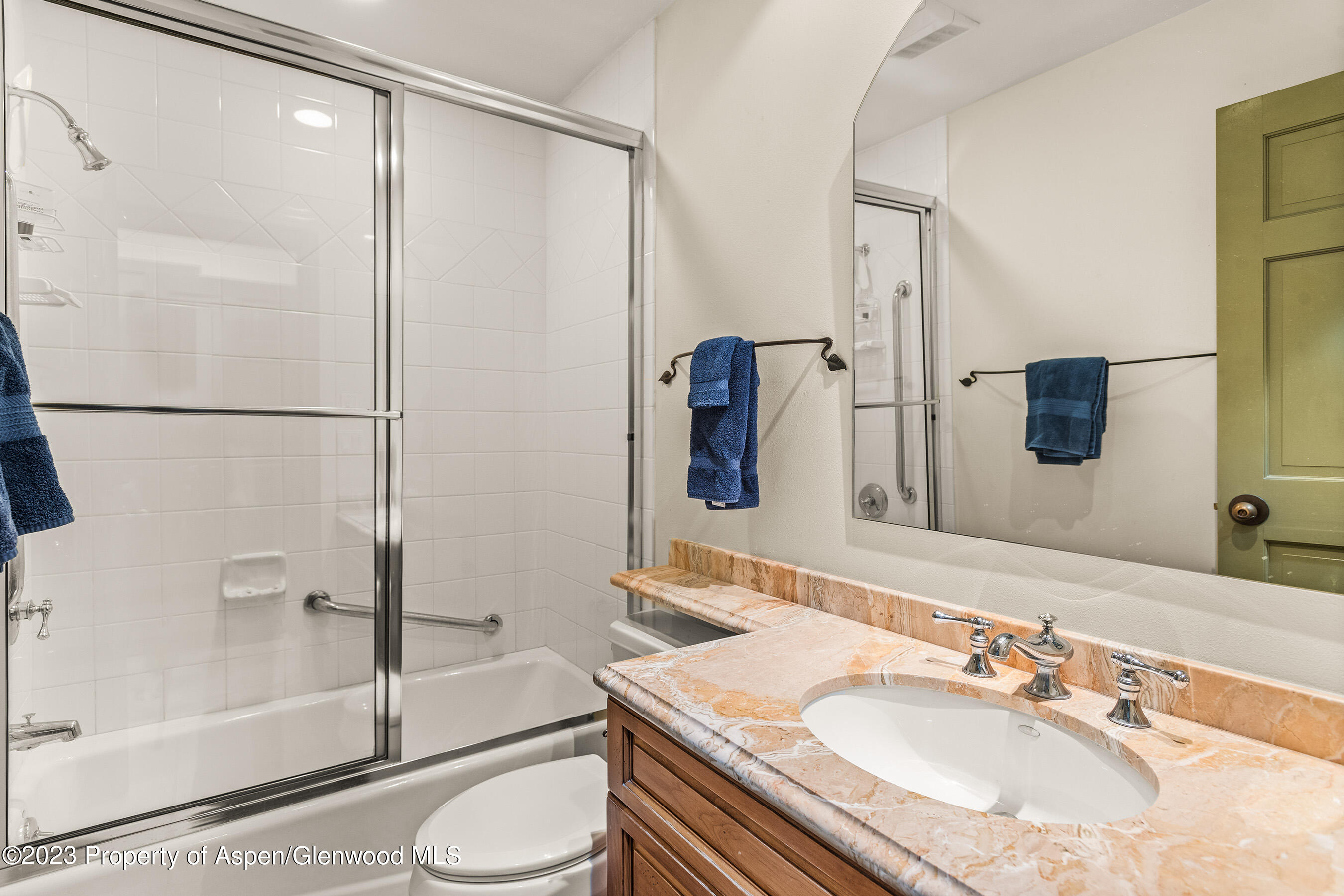 1024 E Hopkins Avenue Aspen CO 81611