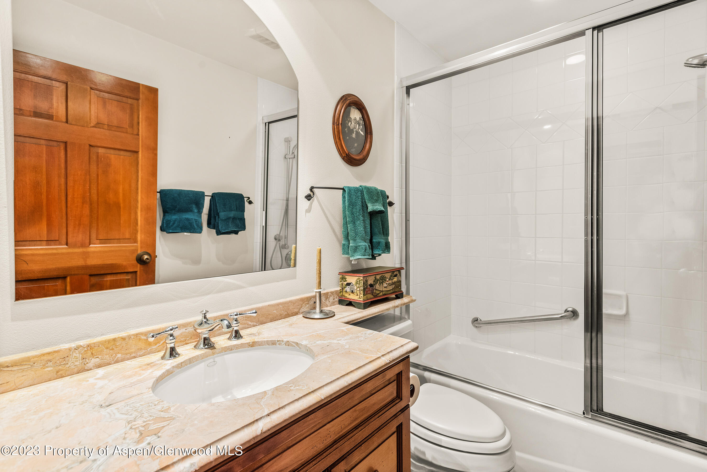 1024 E Hopkins Avenue Aspen CO 81611