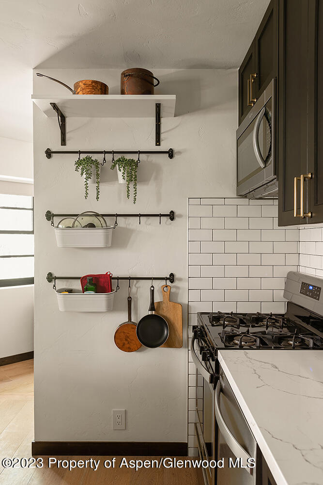 1465 Red Butte Drive Aspen CO 81611