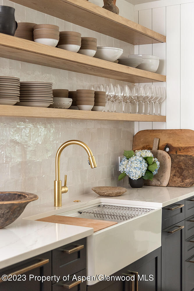 1465 Red Butte Drive Aspen CO 81611