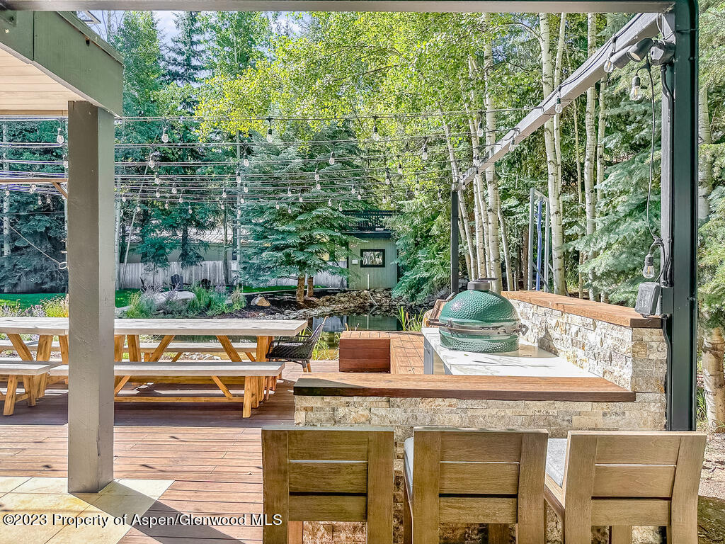 1465 Red Butte Drive Aspen CO 81611