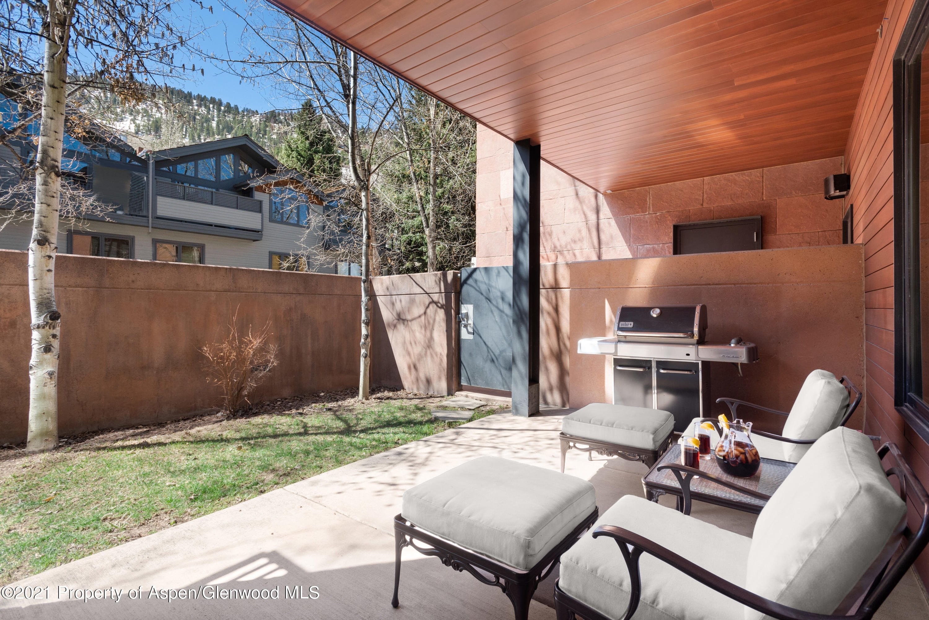 233 E Cooper Avenue Aspen CO 81611