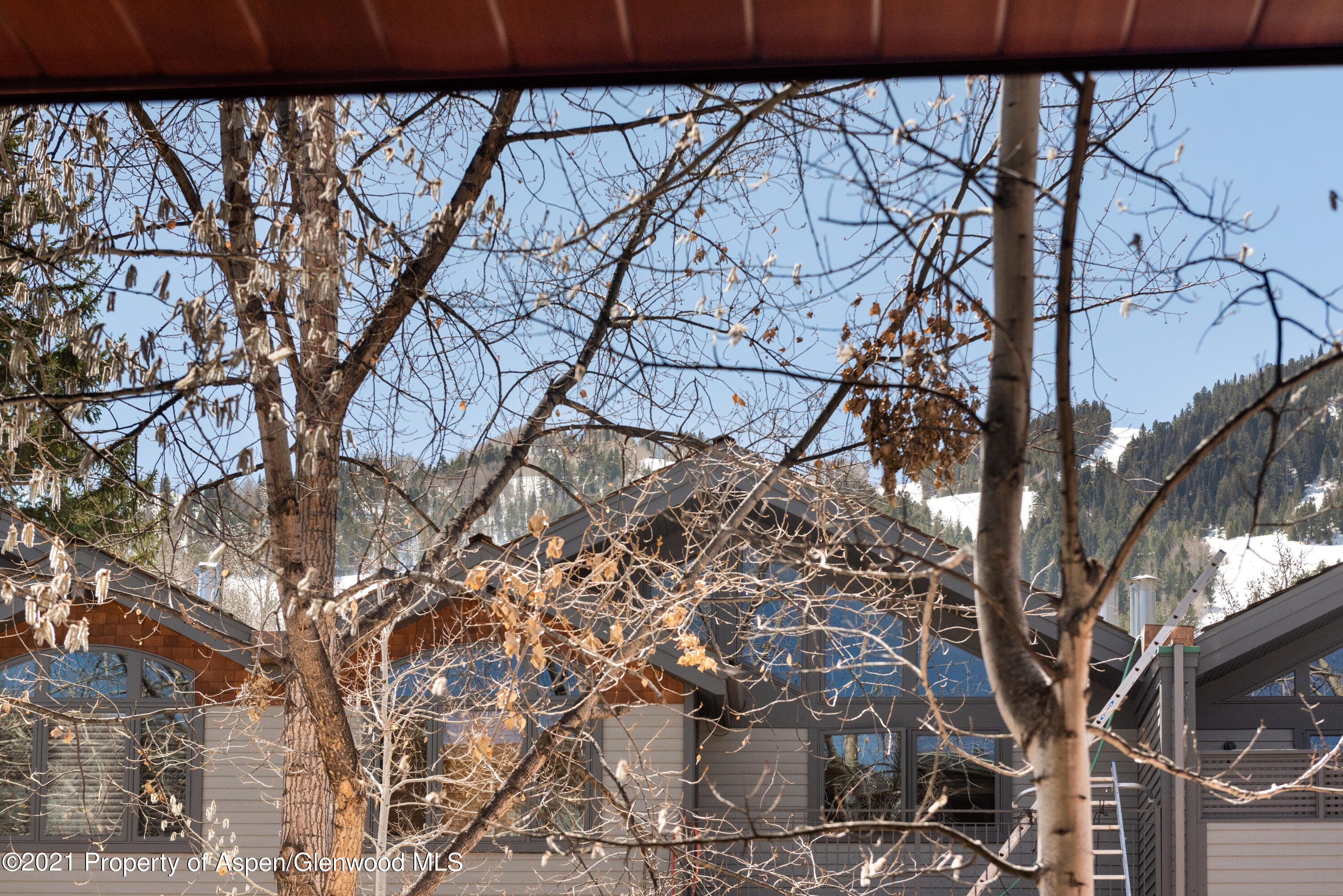 233 E Cooper Avenue Aspen CO 81611