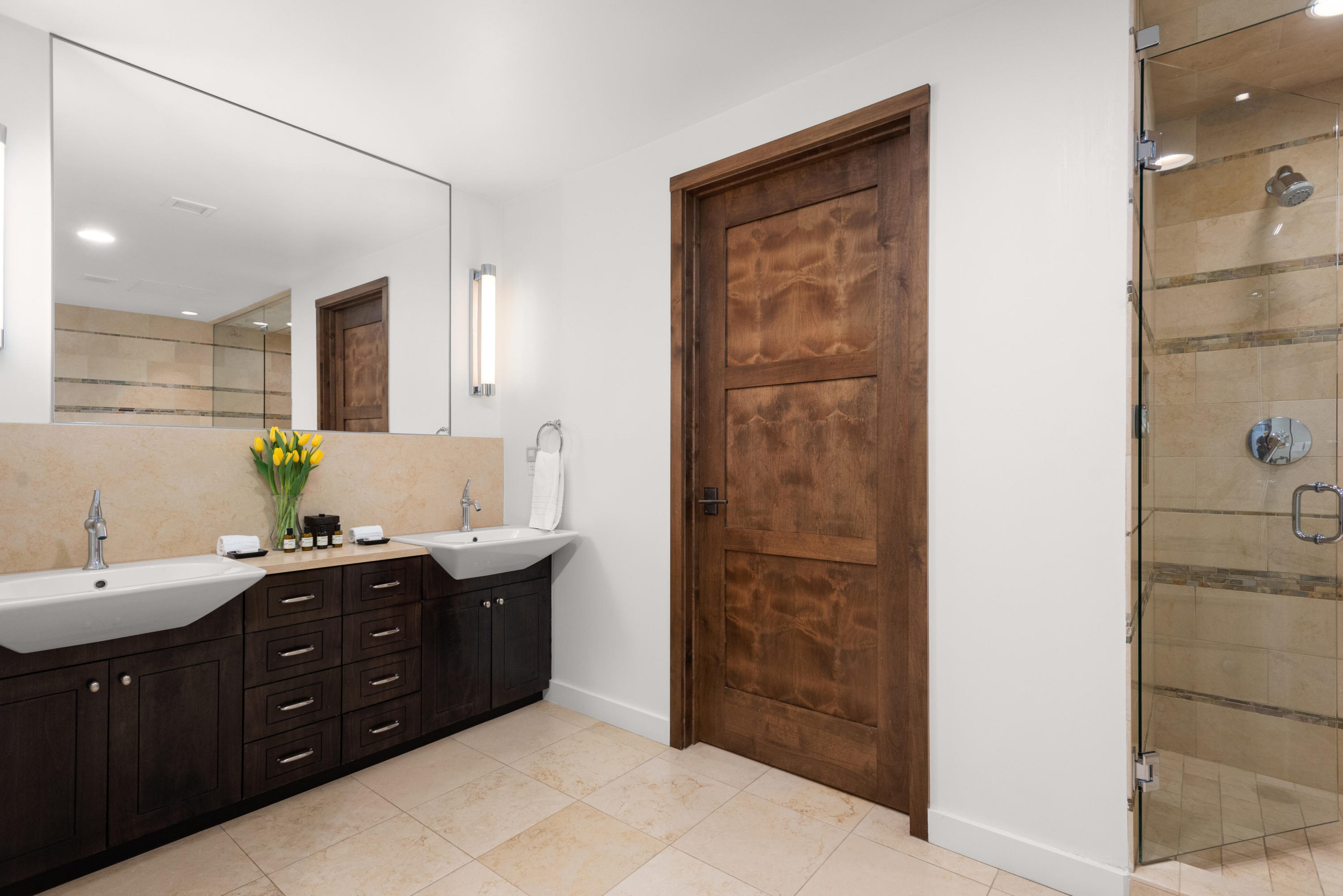 233 E Cooper Avenue Aspen CO 81611