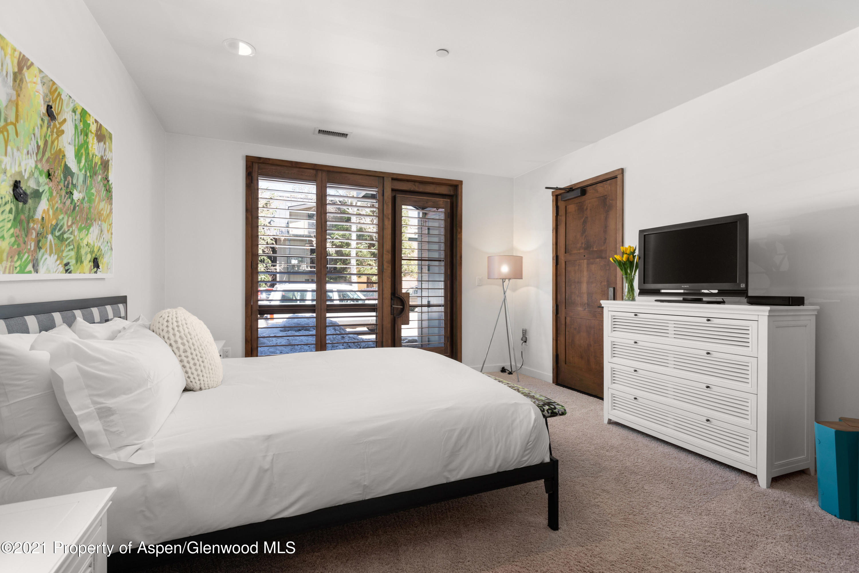 233 E Cooper Avenue Aspen CO 81611