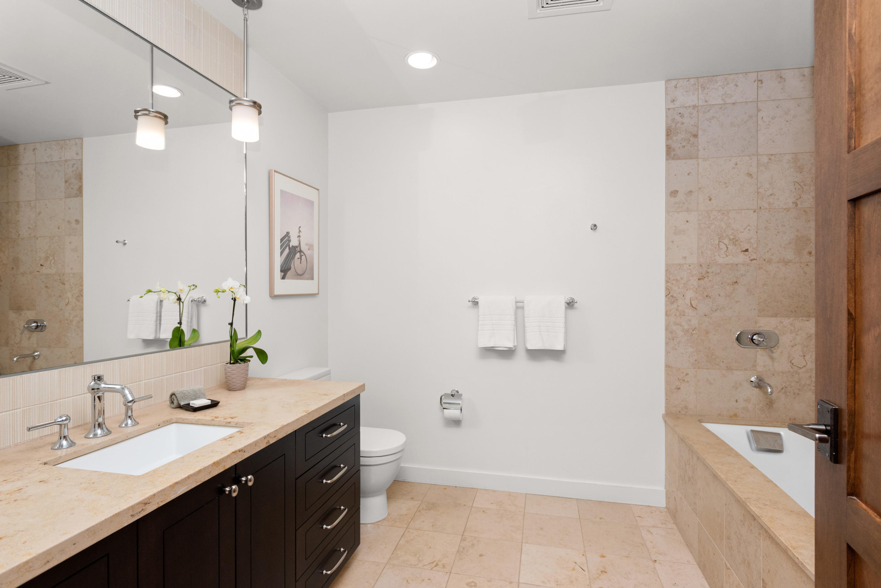 233 E Cooper Avenue Aspen CO 81611