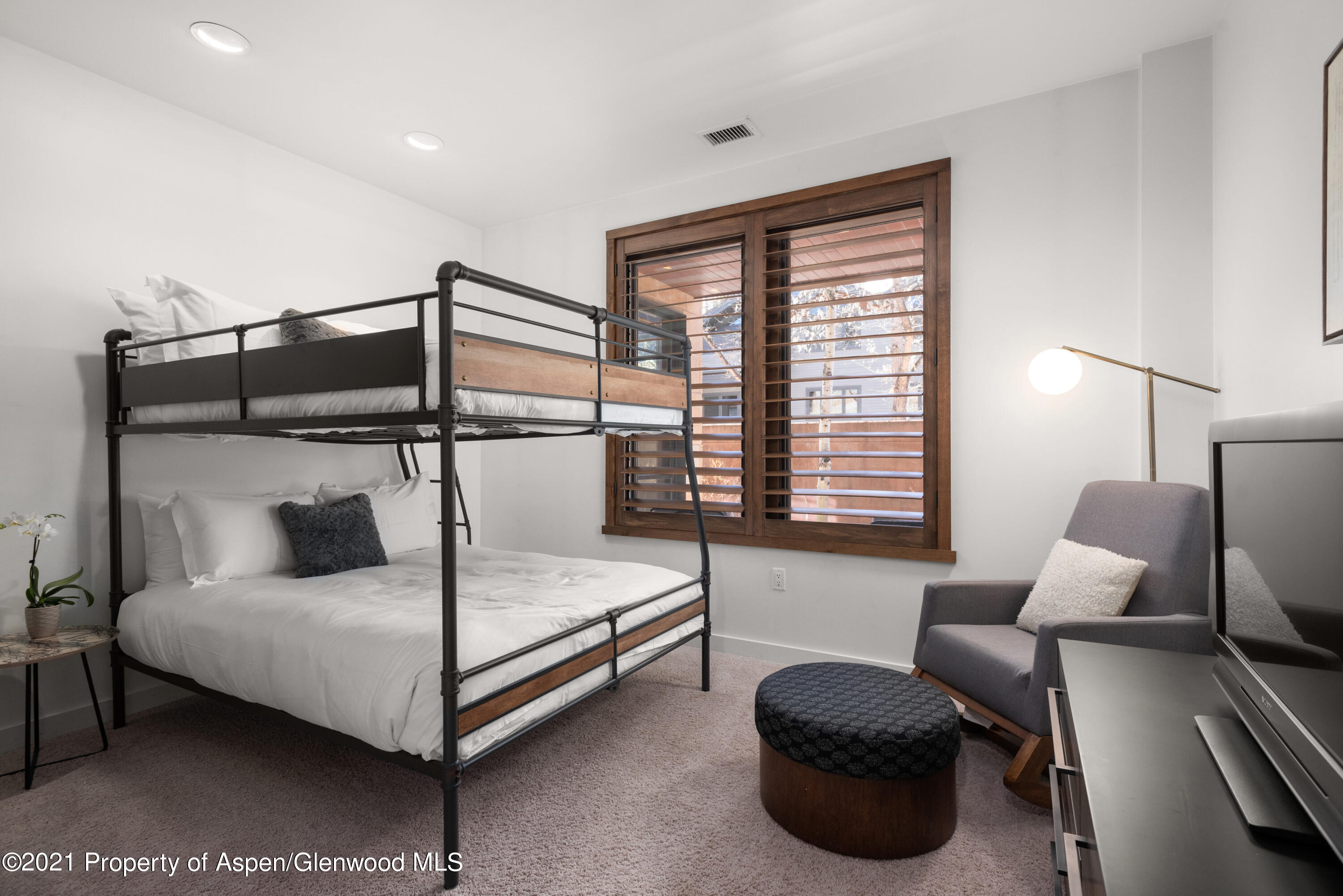 233 E Cooper Avenue Aspen CO 81611