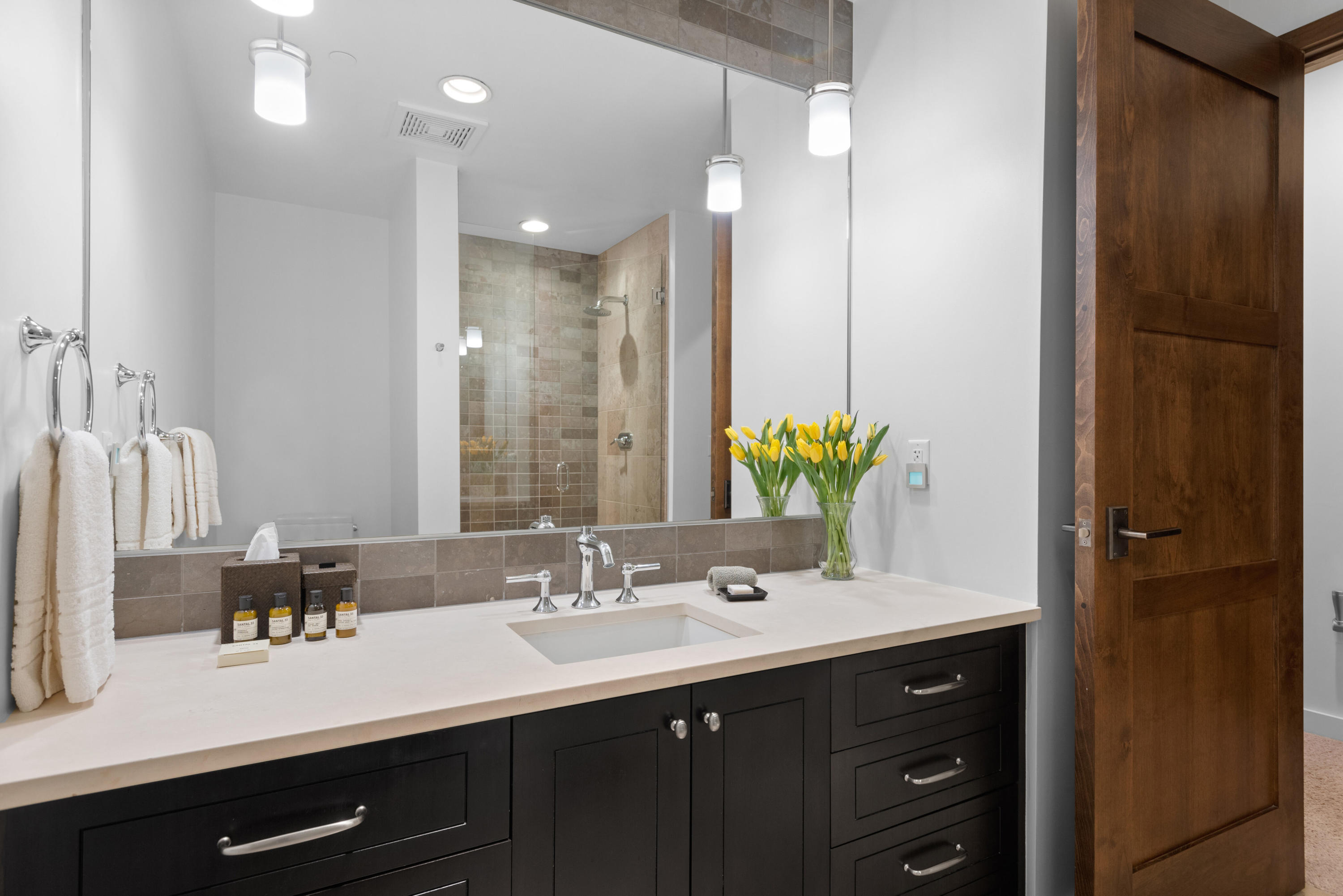 233 E Cooper Avenue Aspen CO 81611