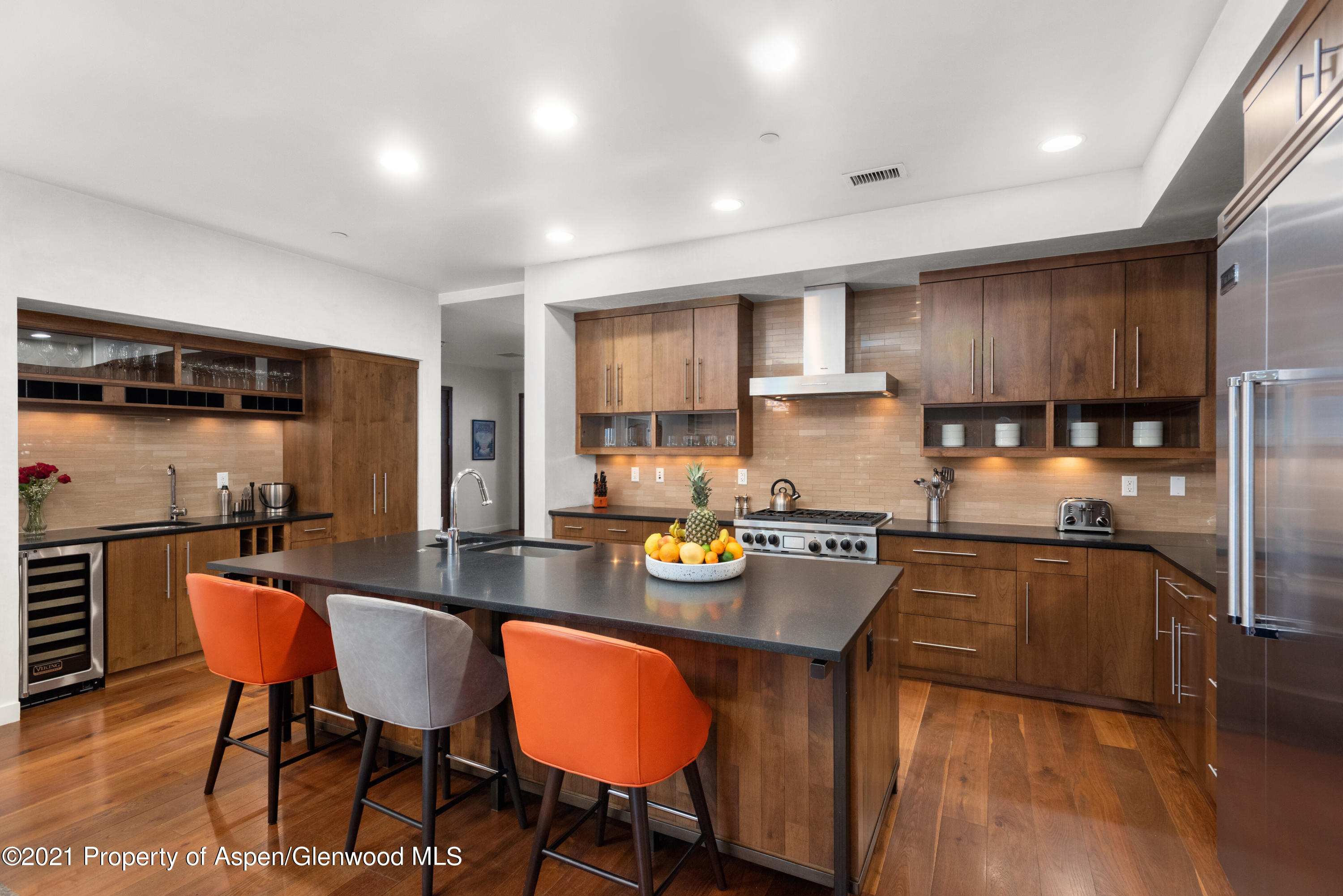 233 E Cooper Avenue Aspen CO 81611