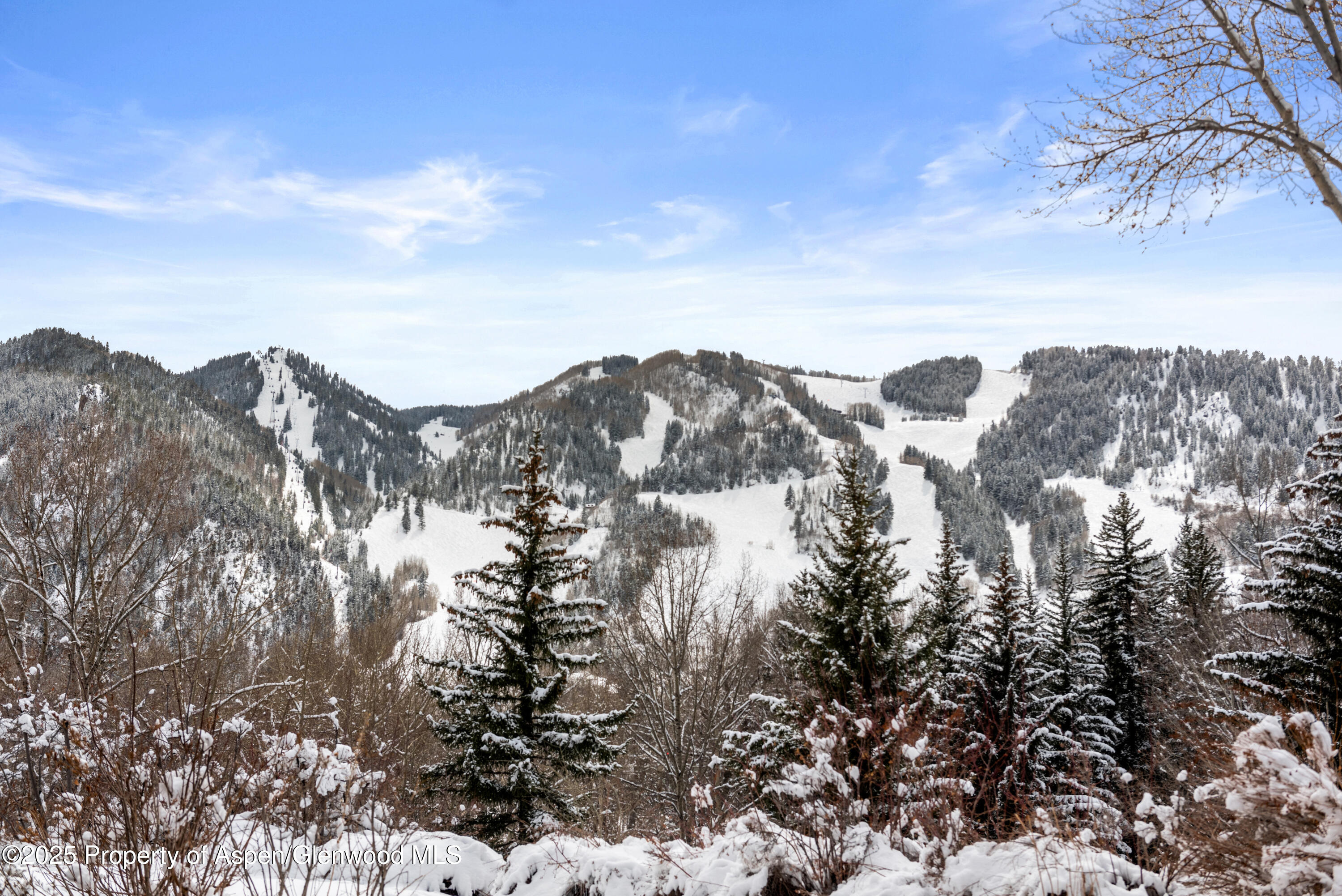 155 Lone Pine Road Aspen CO 81611