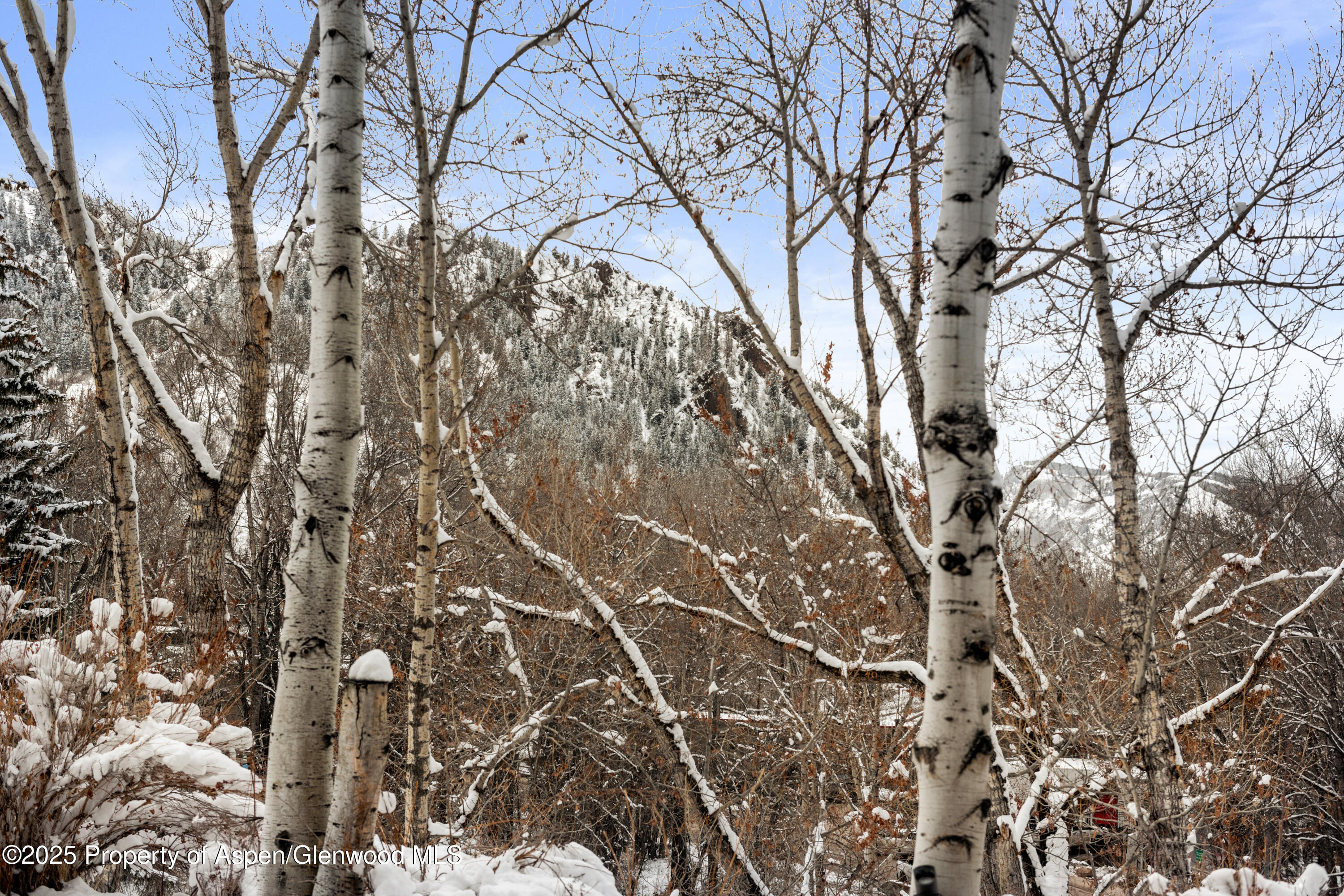 155 Lone Pine Road Aspen CO 81611