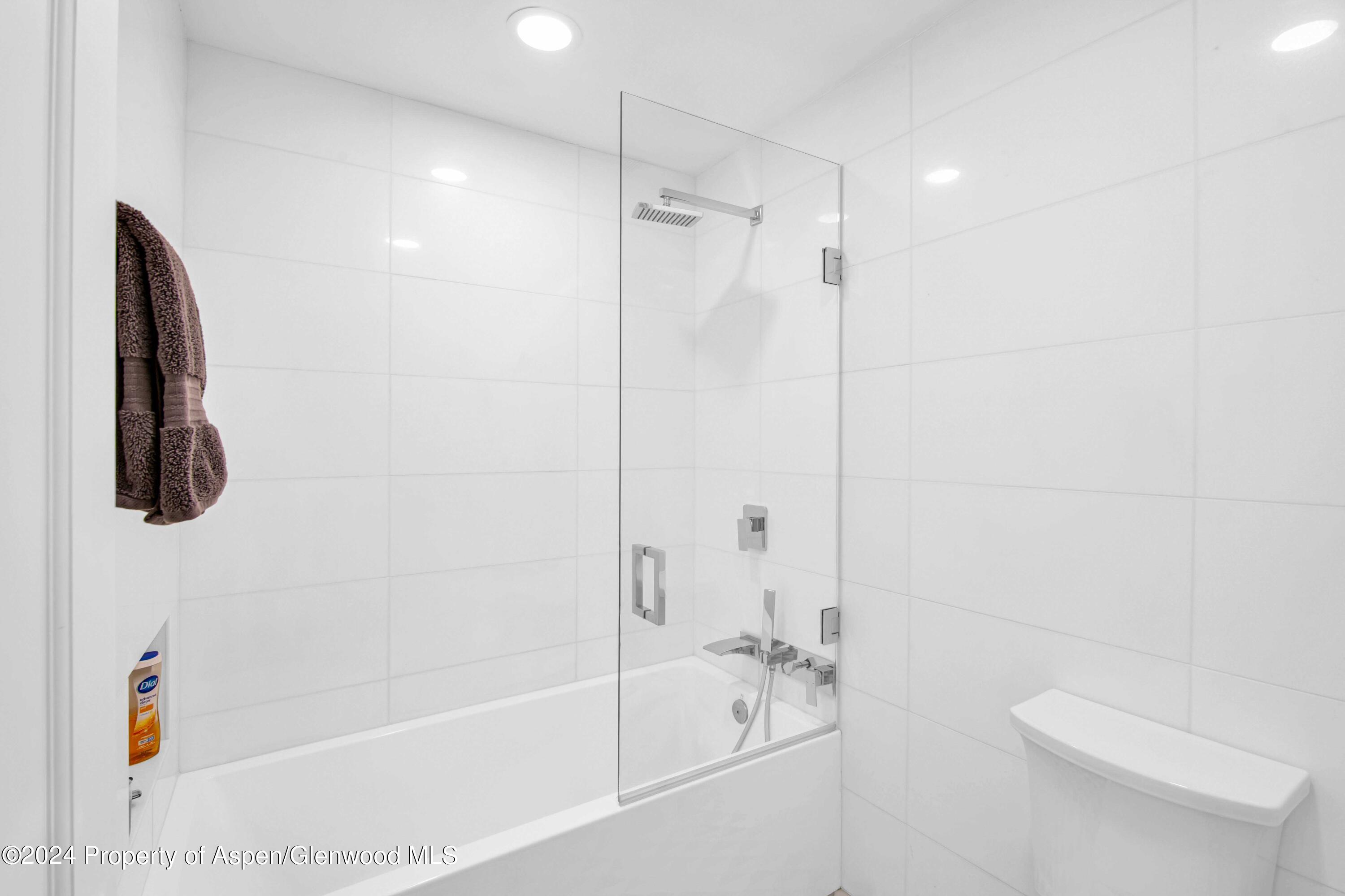 809 S Aspen Street Aspen CO 81611