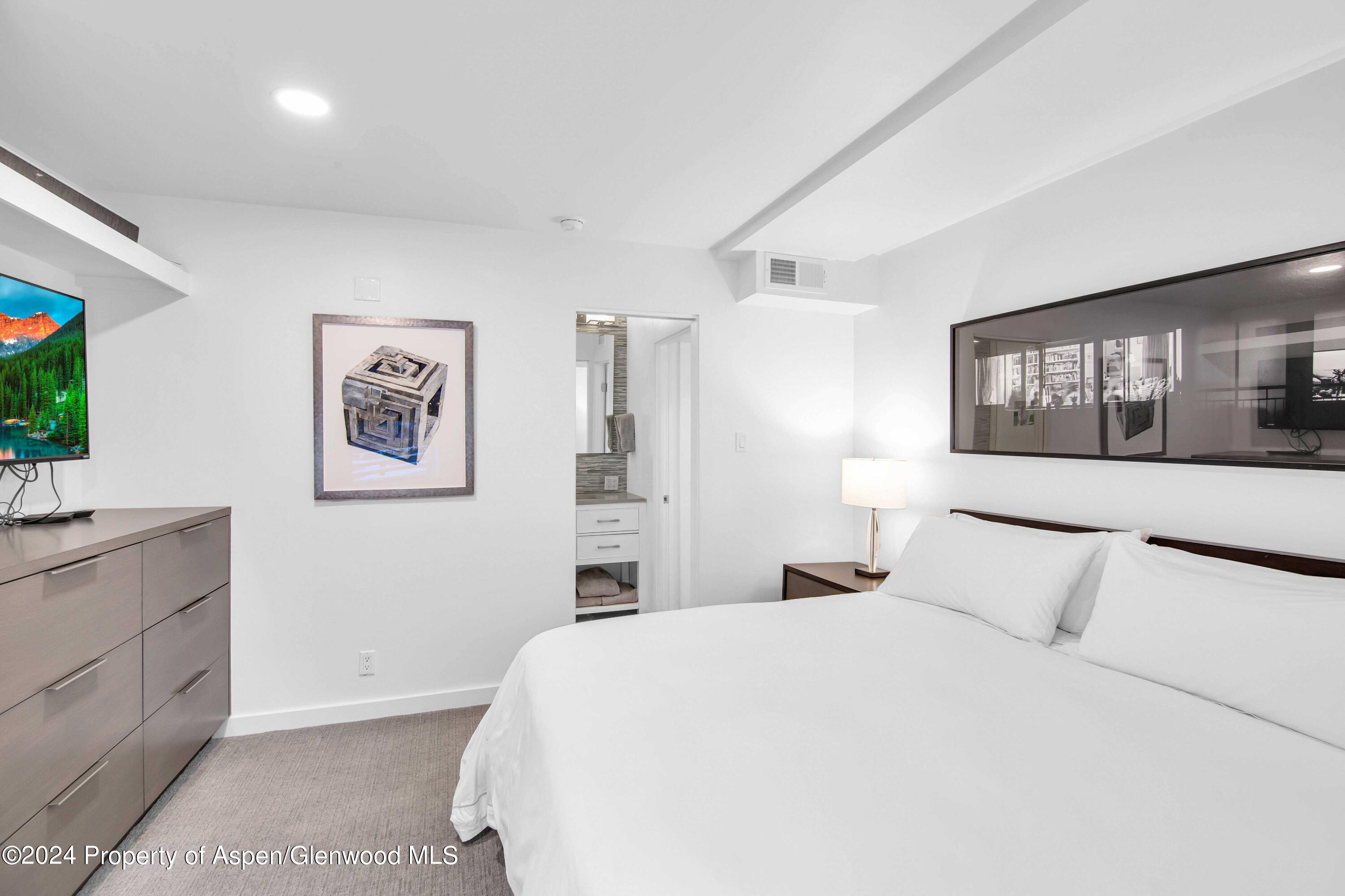 809 S Aspen Street Aspen CO 81611