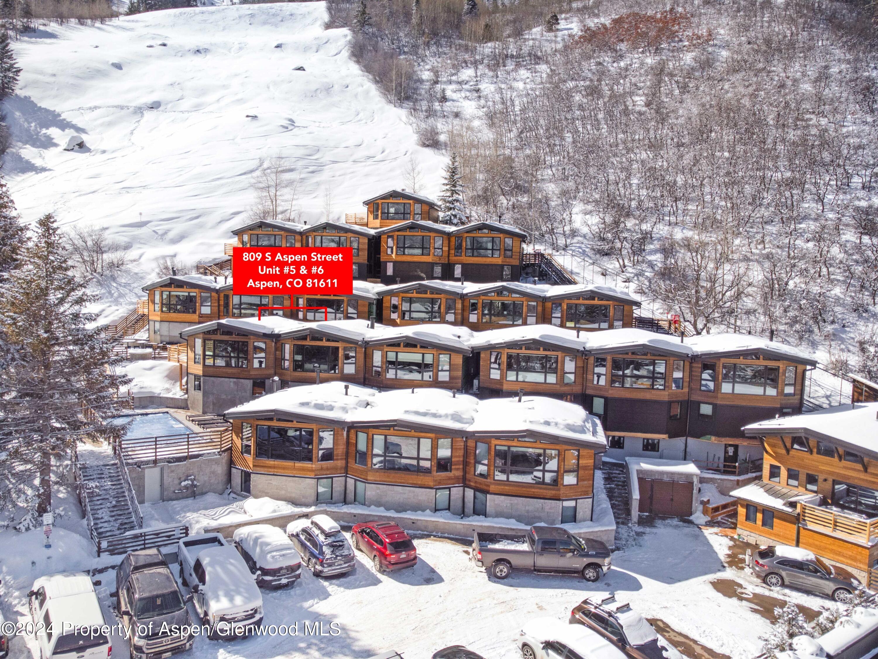 809 S Aspen Street Aspen CO 81611