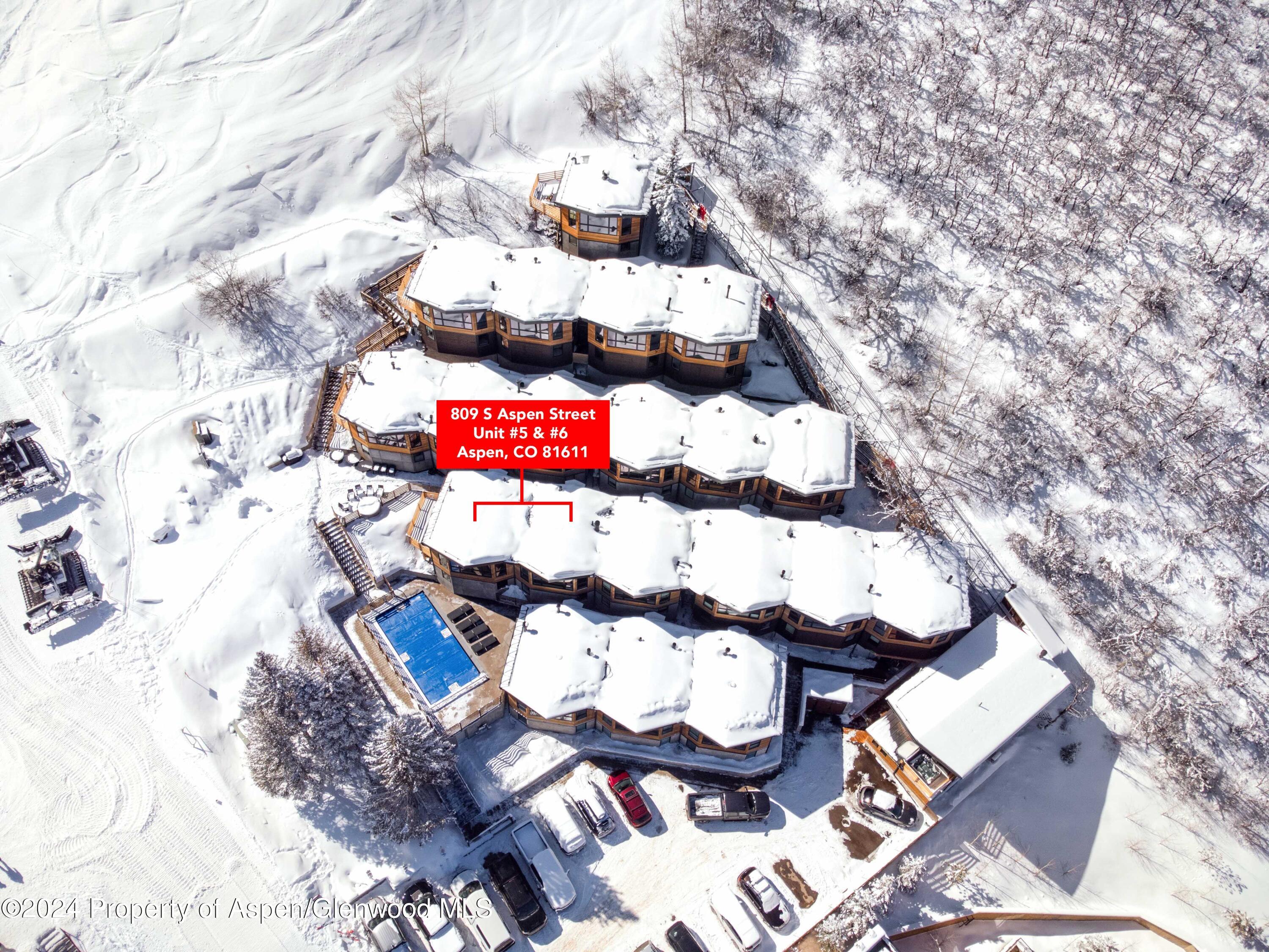 809 S Aspen Street Aspen CO 81611