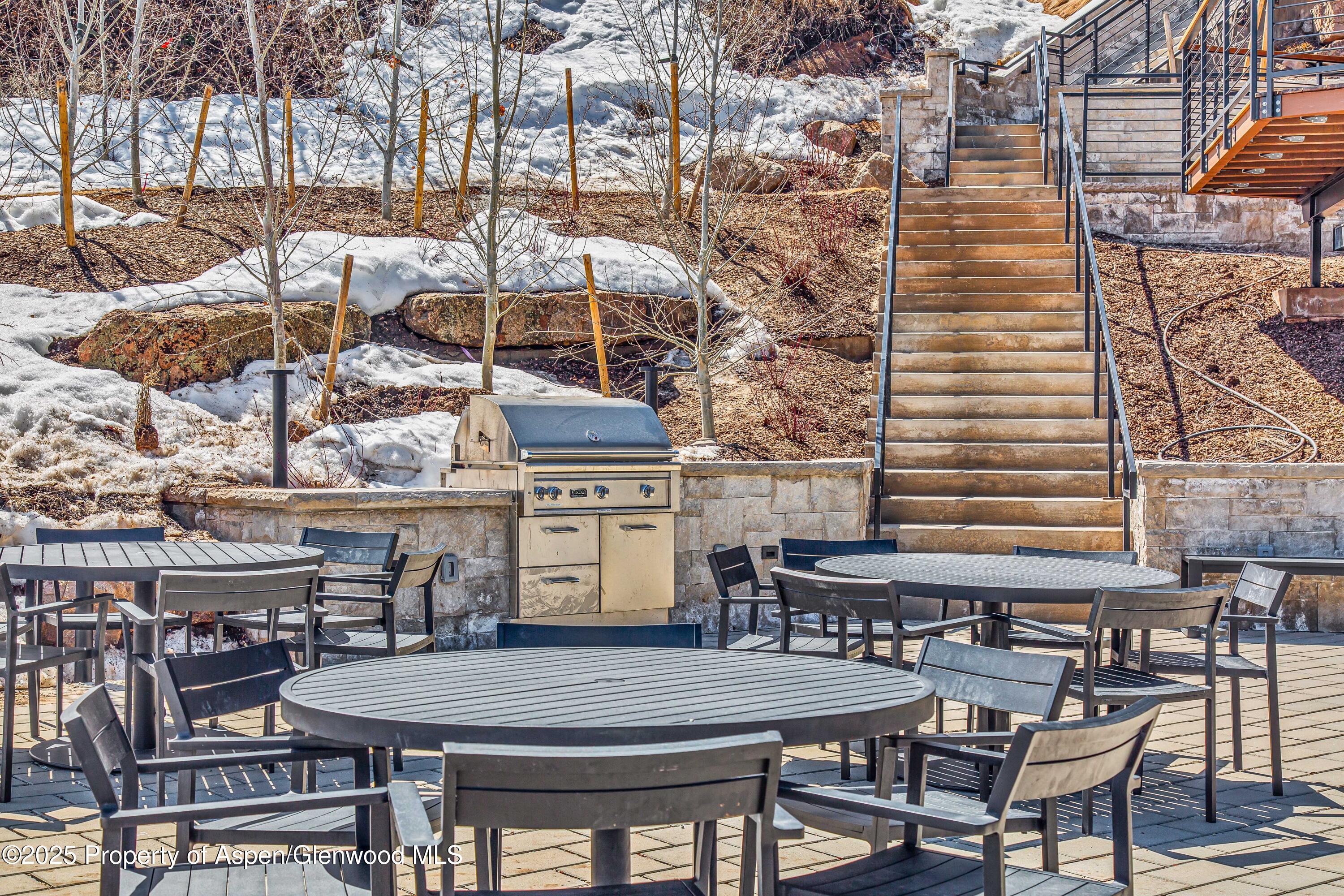 809 S Aspen Street Aspen CO 81611