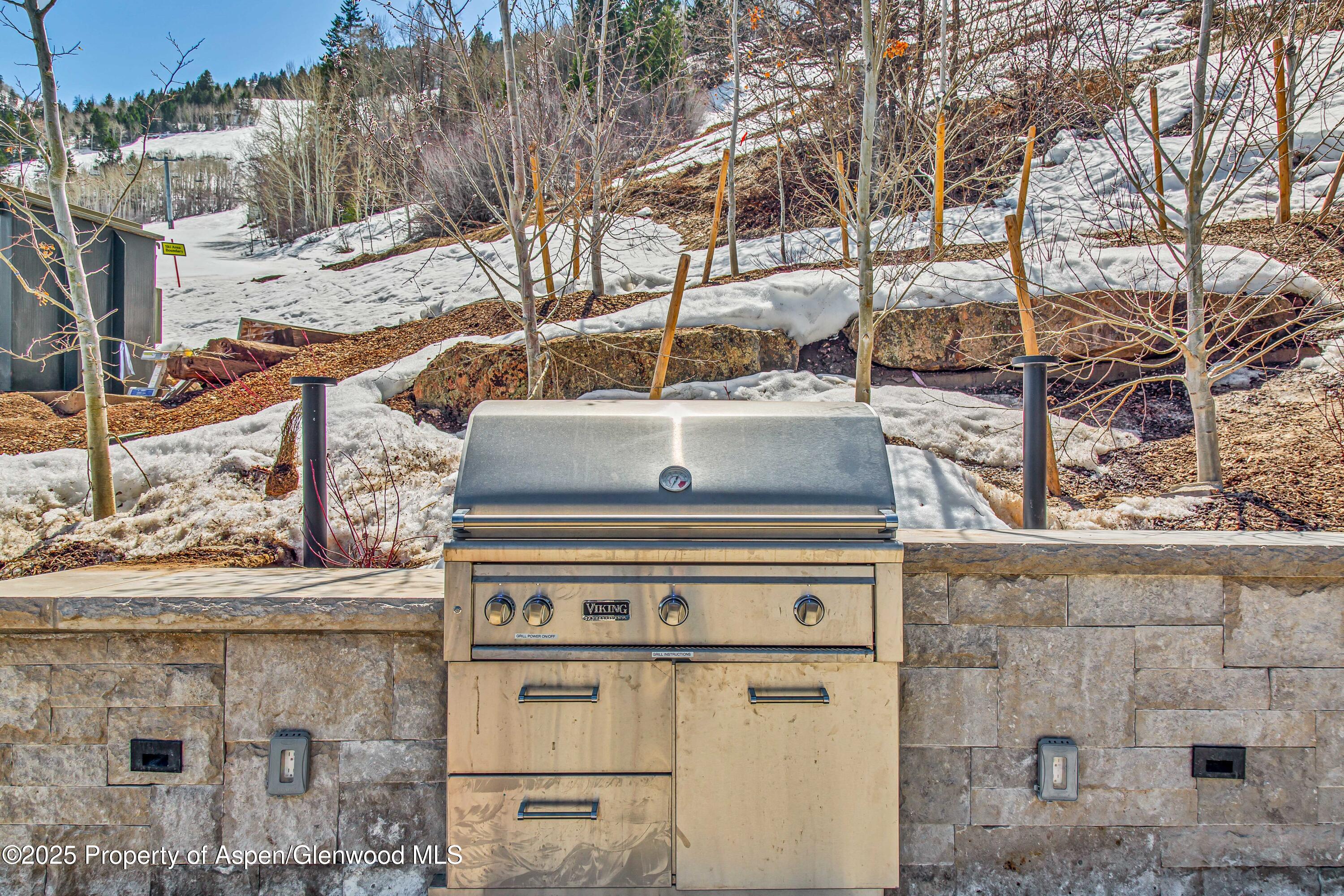 809 S Aspen Street Aspen CO 81611