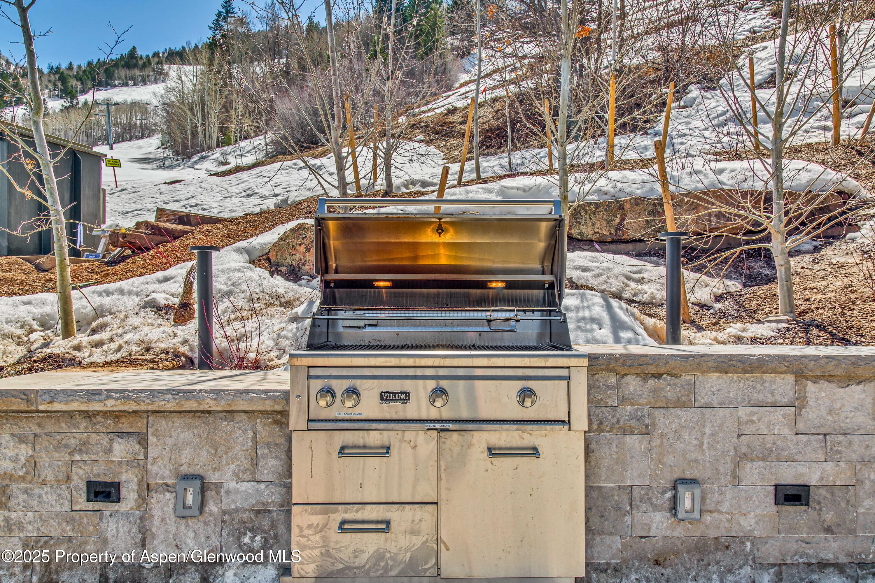 809 S Aspen Street Aspen CO 81611