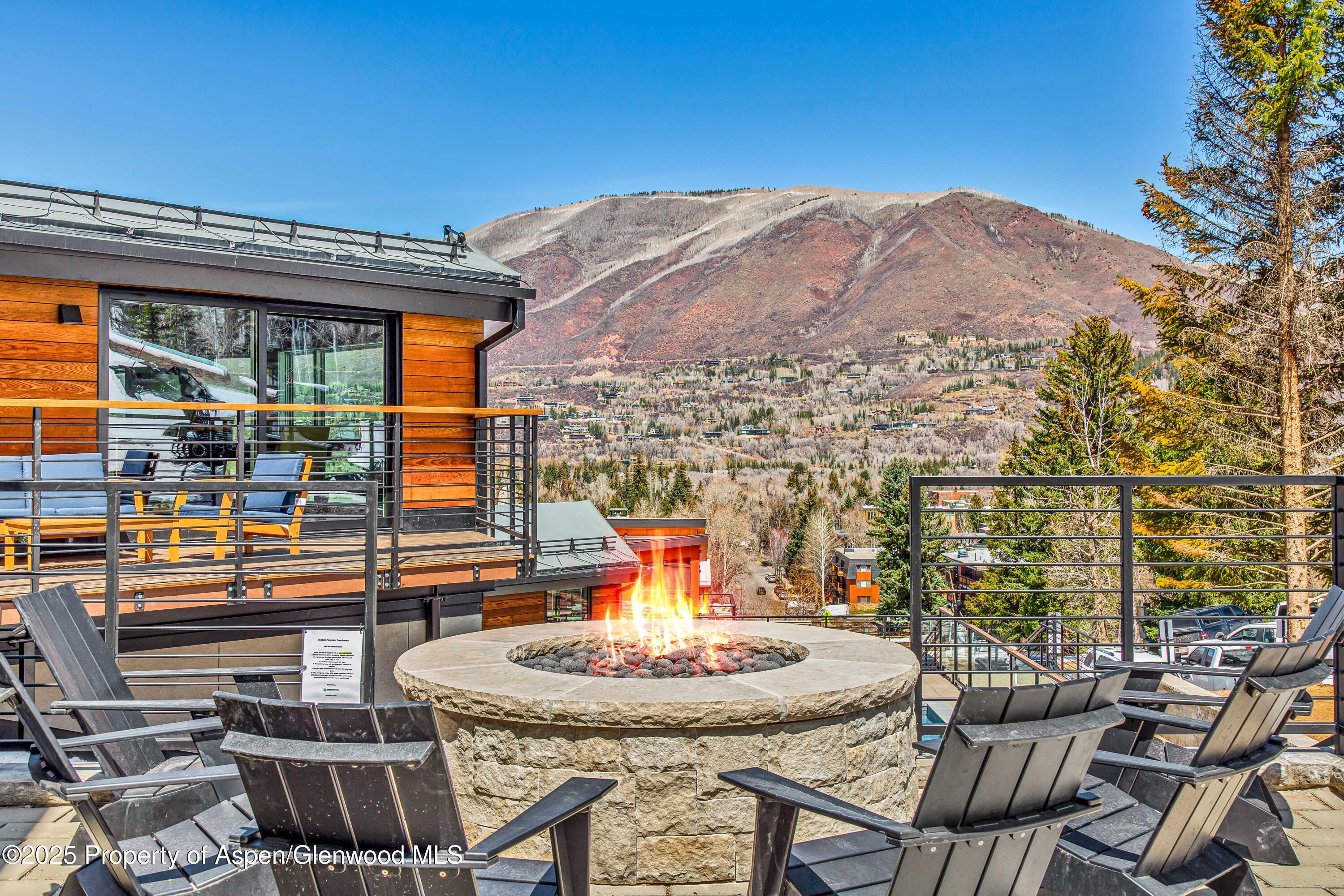 809 S Aspen Street Aspen CO 81611