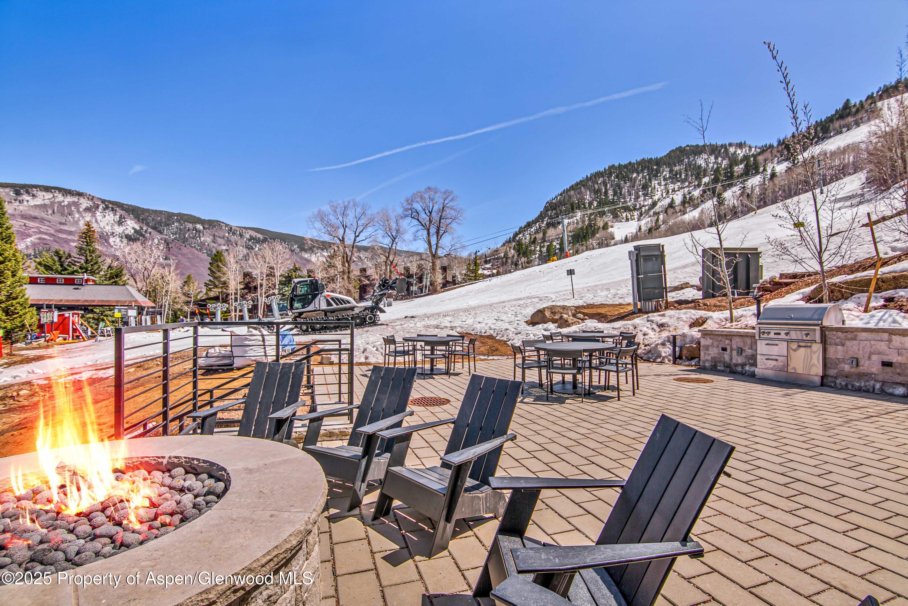 809 S Aspen Street Aspen CO 81611