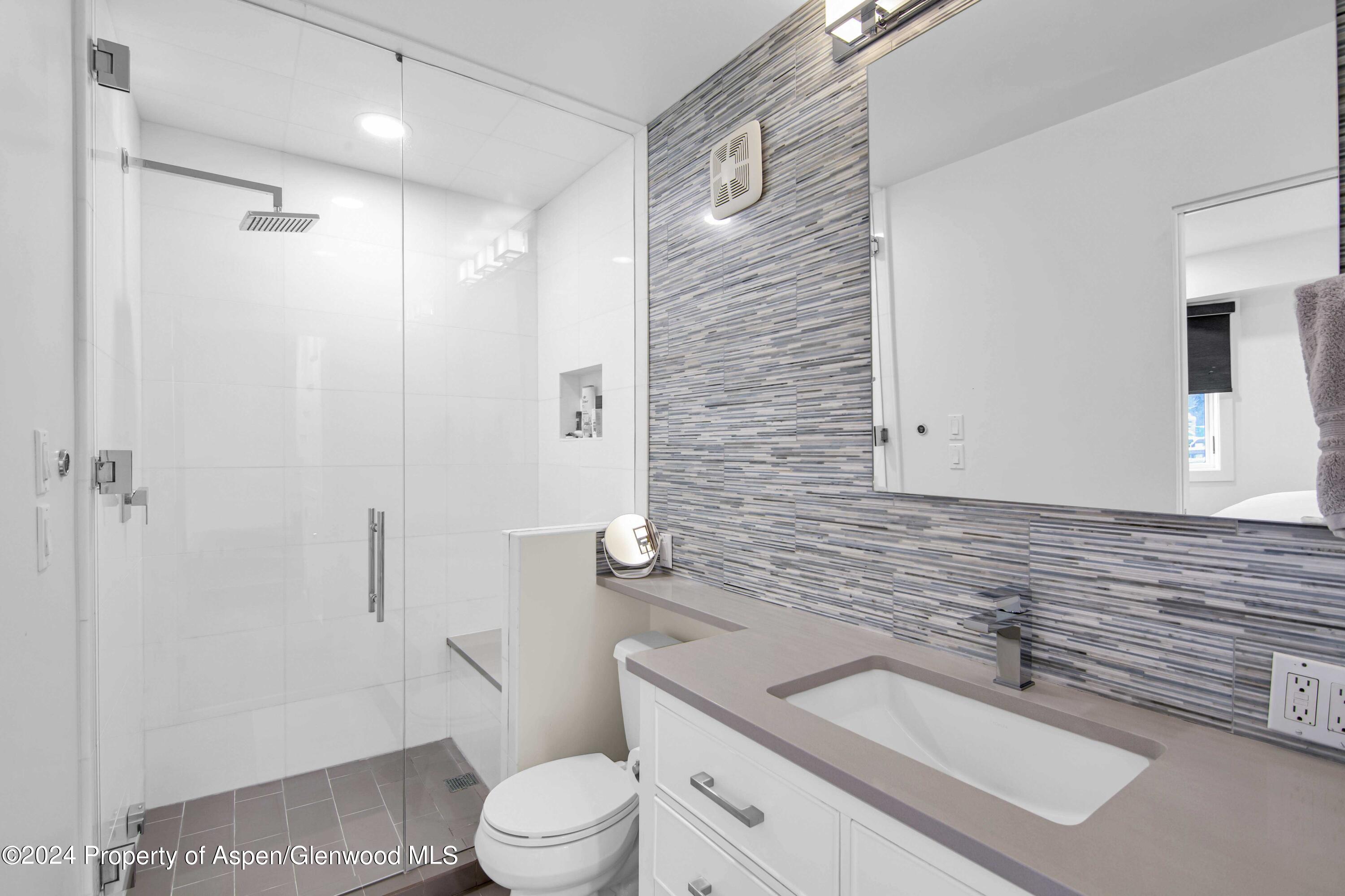 809 S Aspen Street Aspen CO 81611