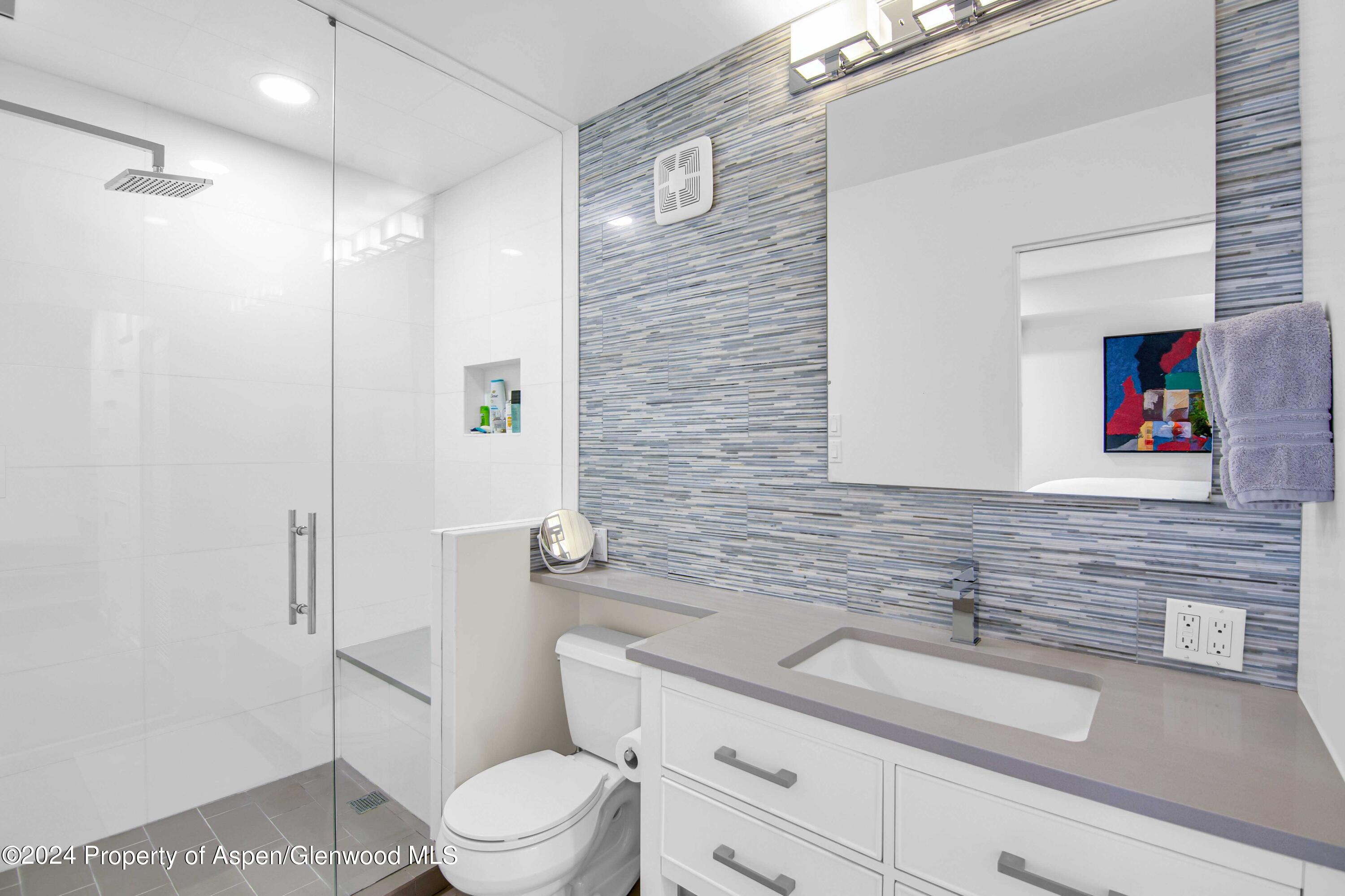 809 S Aspen Street Aspen CO 81611