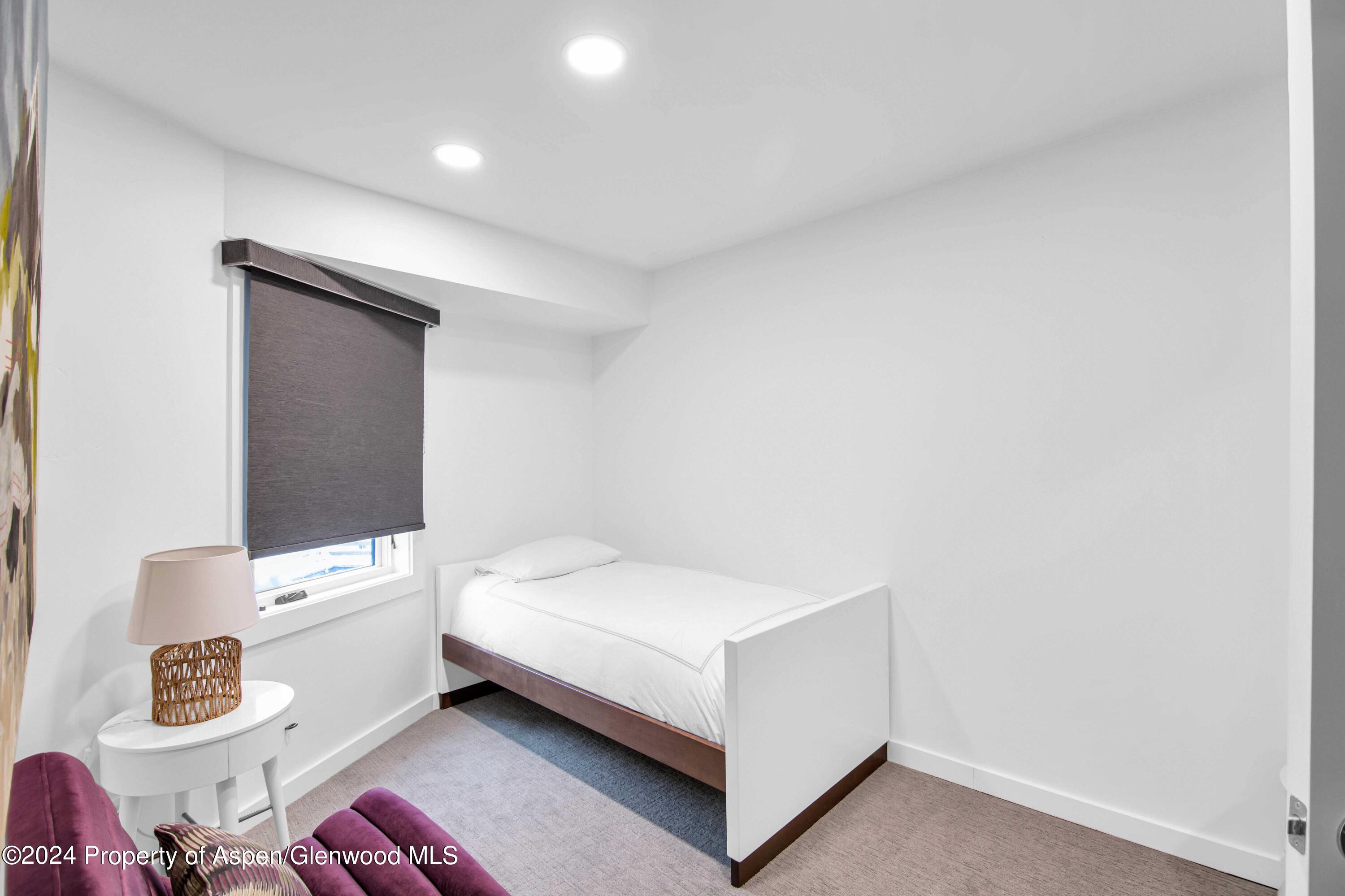 809 S Aspen Street Aspen CO 81611