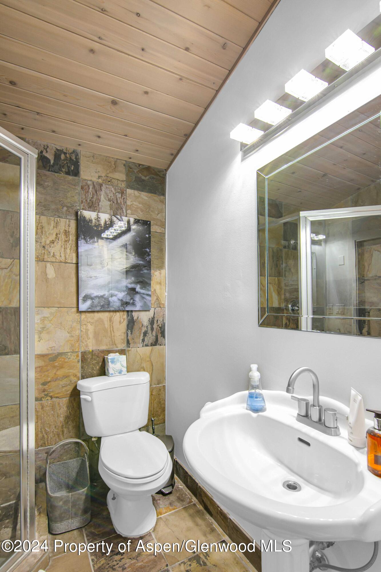 809 S Aspen Street Aspen CO 81611