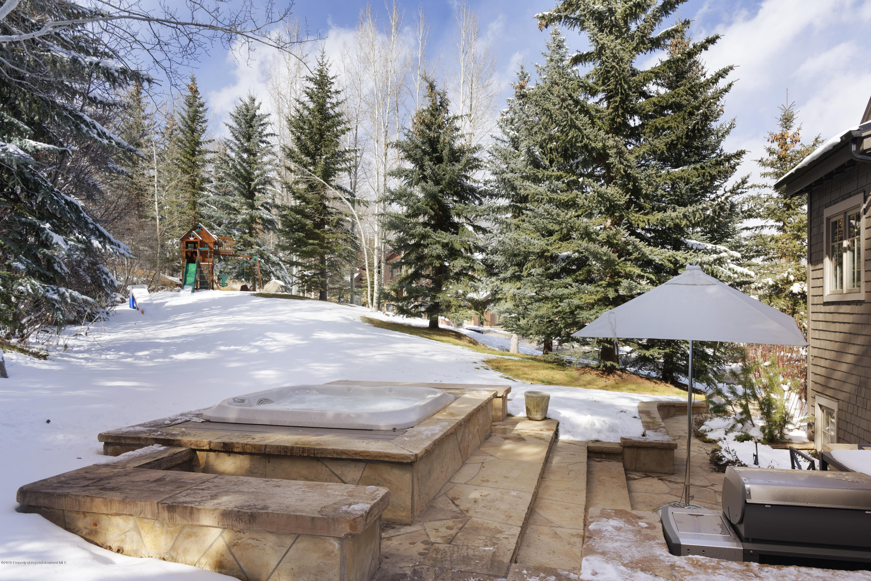 1205 Tiehack Road Aspen CO 81611