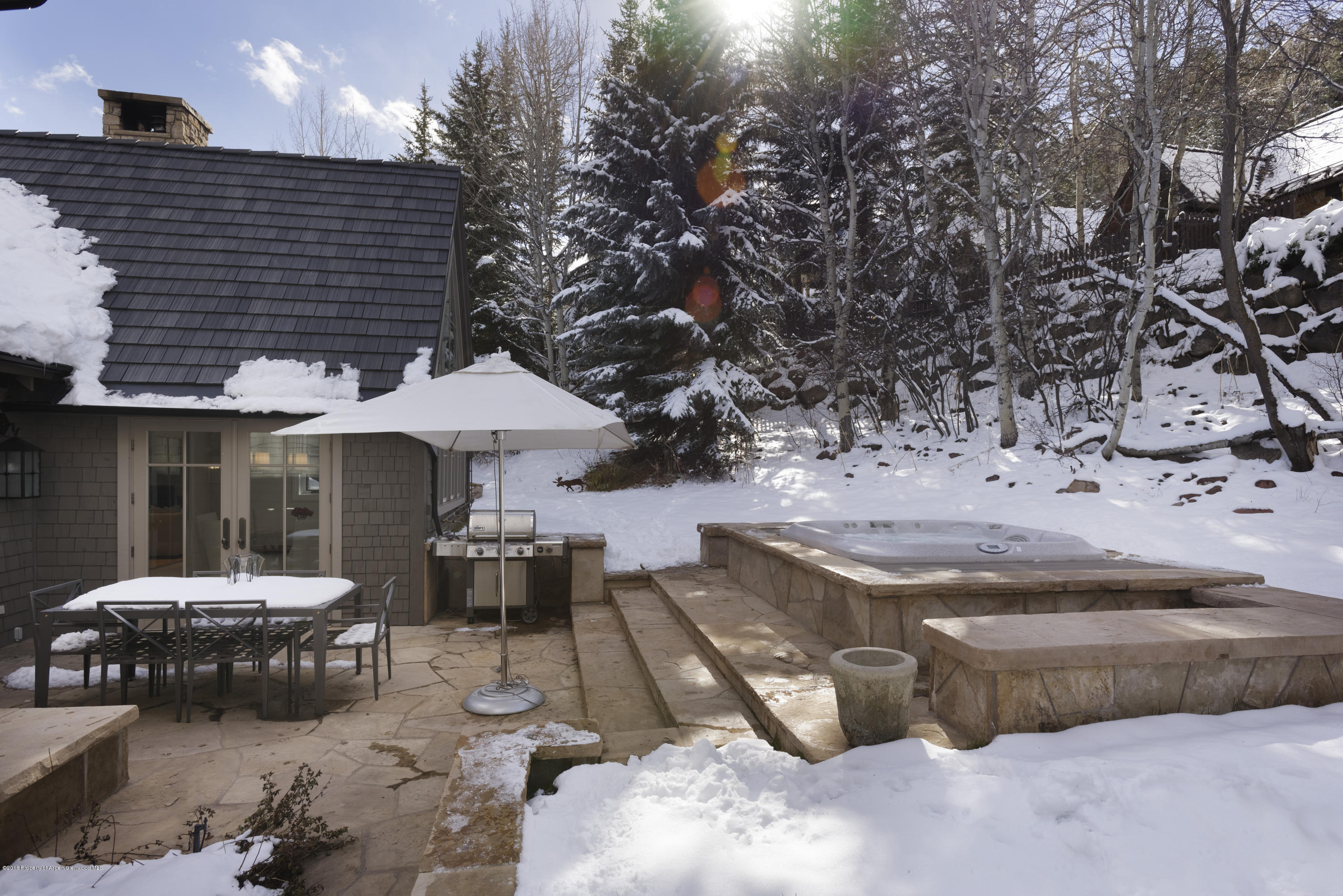 1205 Tiehack Road Aspen CO 81611