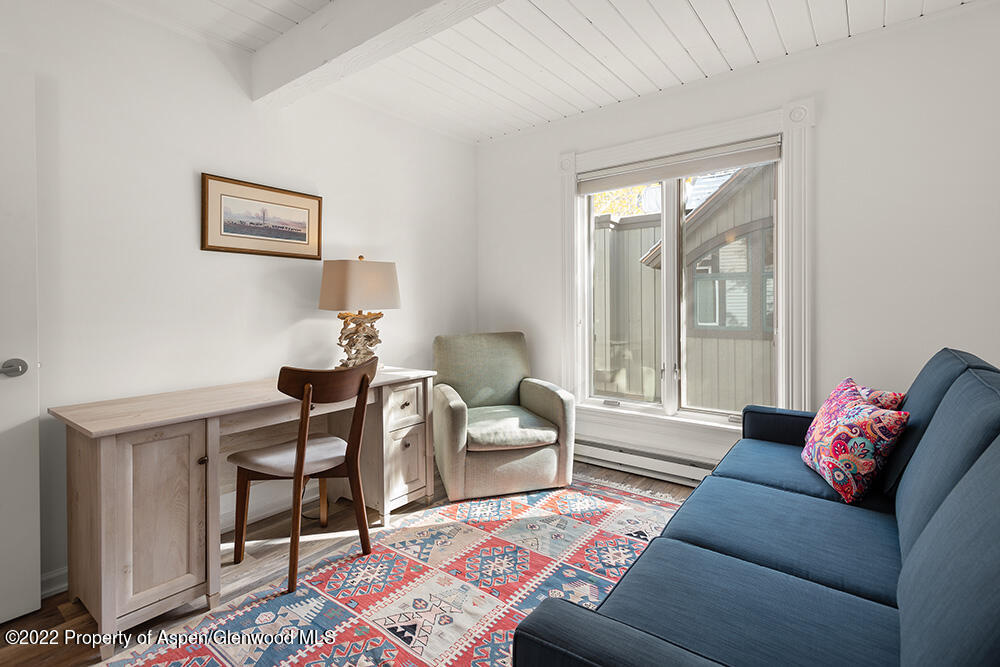 916 E Hopkins Avenue Aspen CO 81611